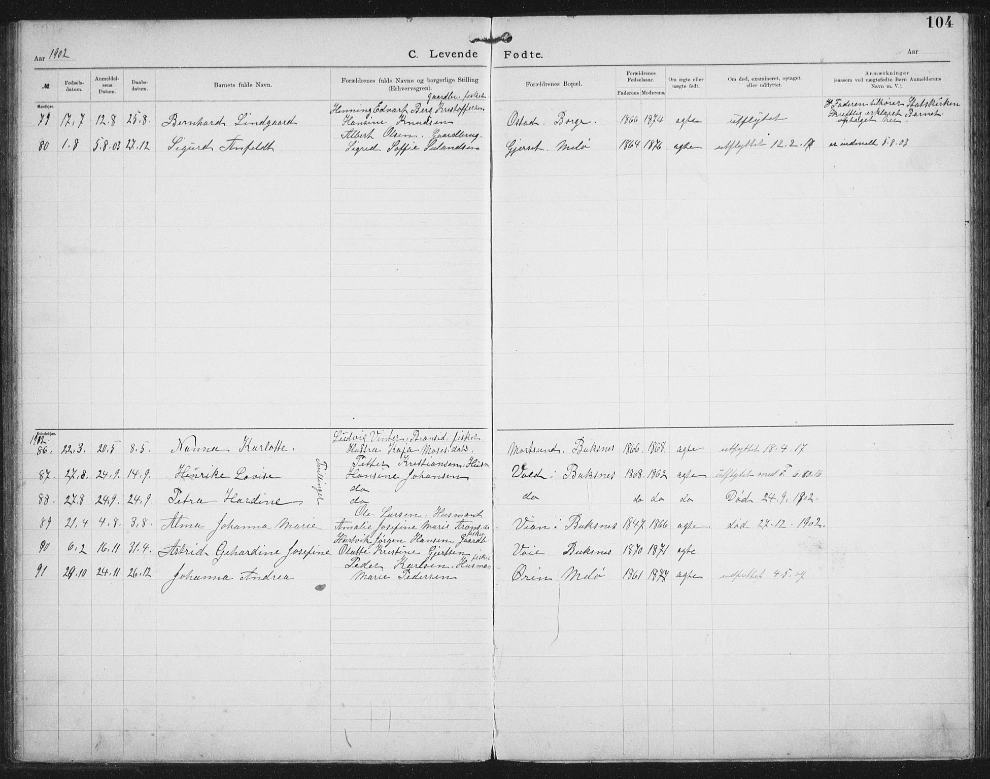 Ministerialprotokoller, klokkerbøker og fødselsregistre - Nordland, SAT/A-1459/881/L1174: Dissenter register no. 881D01, 1891-1933, p. 104