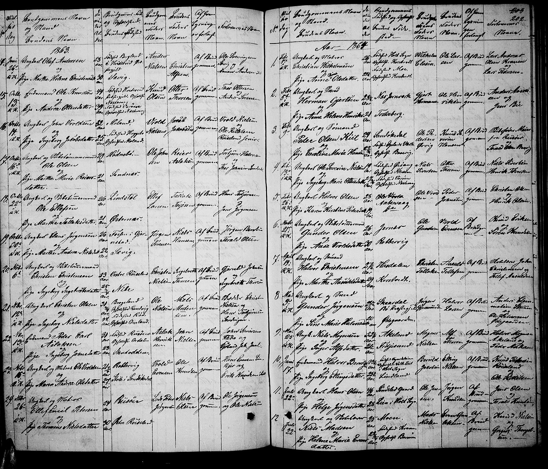 Søndeled sokneprestkontor, AV/SAK-1111-0038/F/Fb/L0004: Parish register (copy) no. B 4, 1857-1884, p. 202