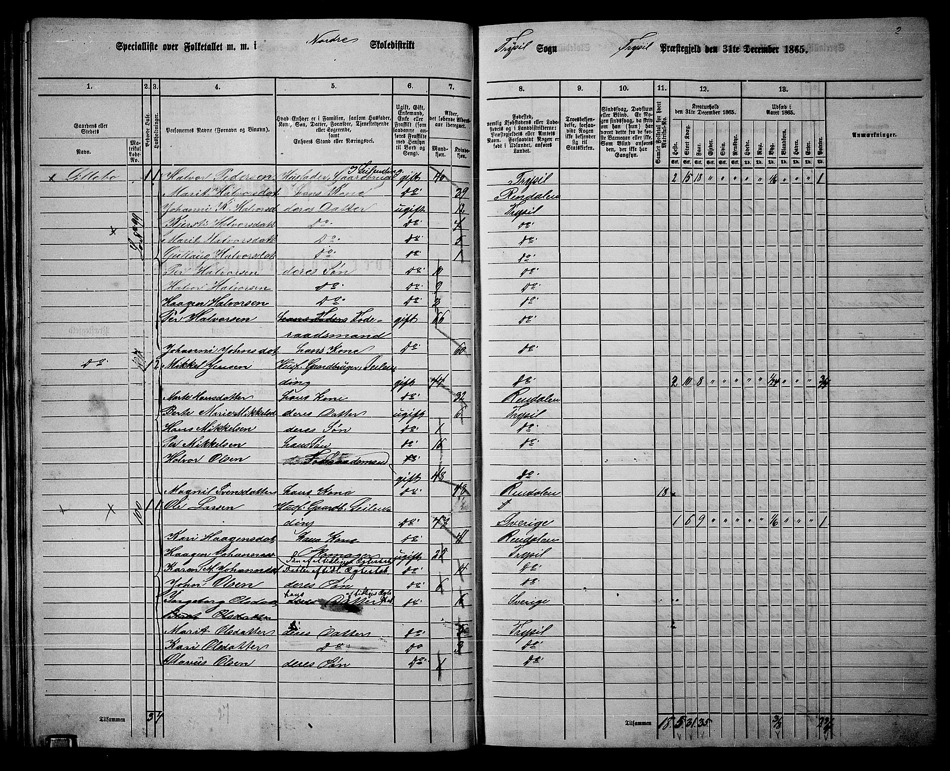 RA, 1865 census for Trysil, 1865, p. 45