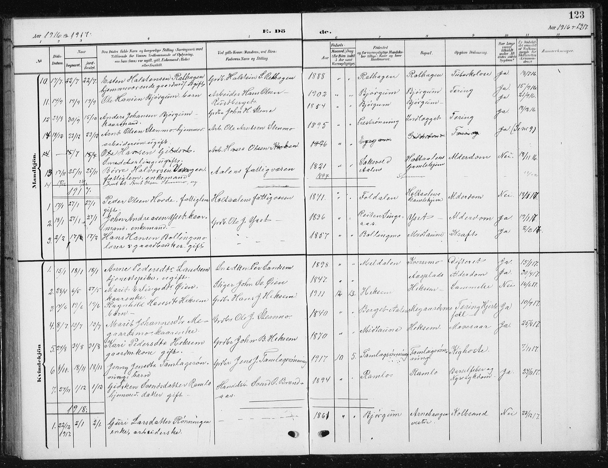 Ministerialprotokoller, klokkerbøker og fødselsregistre - Sør-Trøndelag, SAT/A-1456/685/L0979: Parish register (copy) no. 685C04, 1908-1933, p. 123
