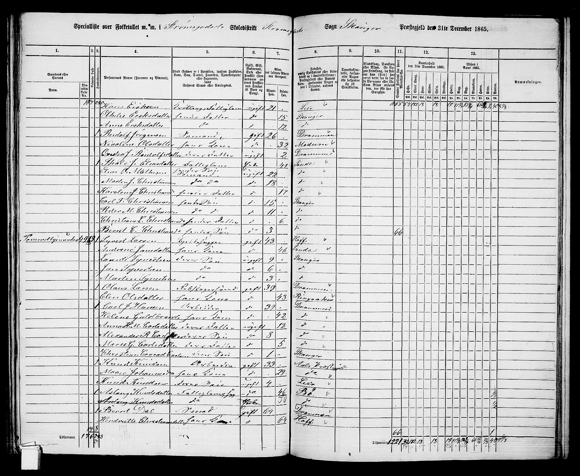 RA, 1865 census for Skoger, 1865, p. 158