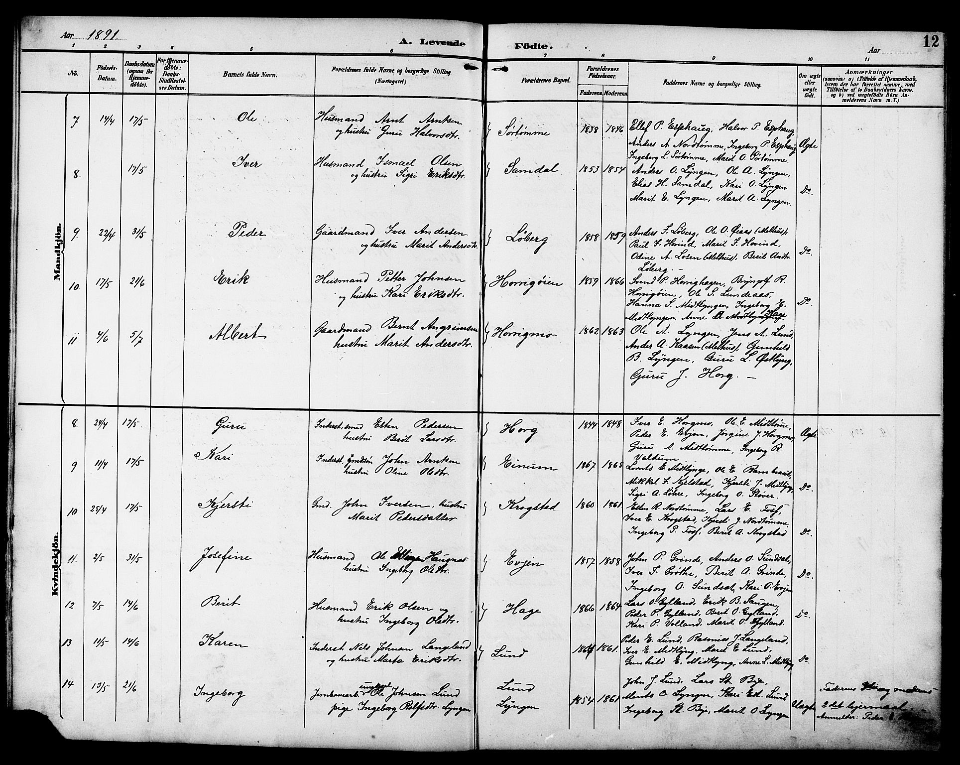 Ministerialprotokoller, klokkerbøker og fødselsregistre - Sør-Trøndelag, SAT/A-1456/692/L1111: Parish register (copy) no. 692C06, 1890-1904, p. 12