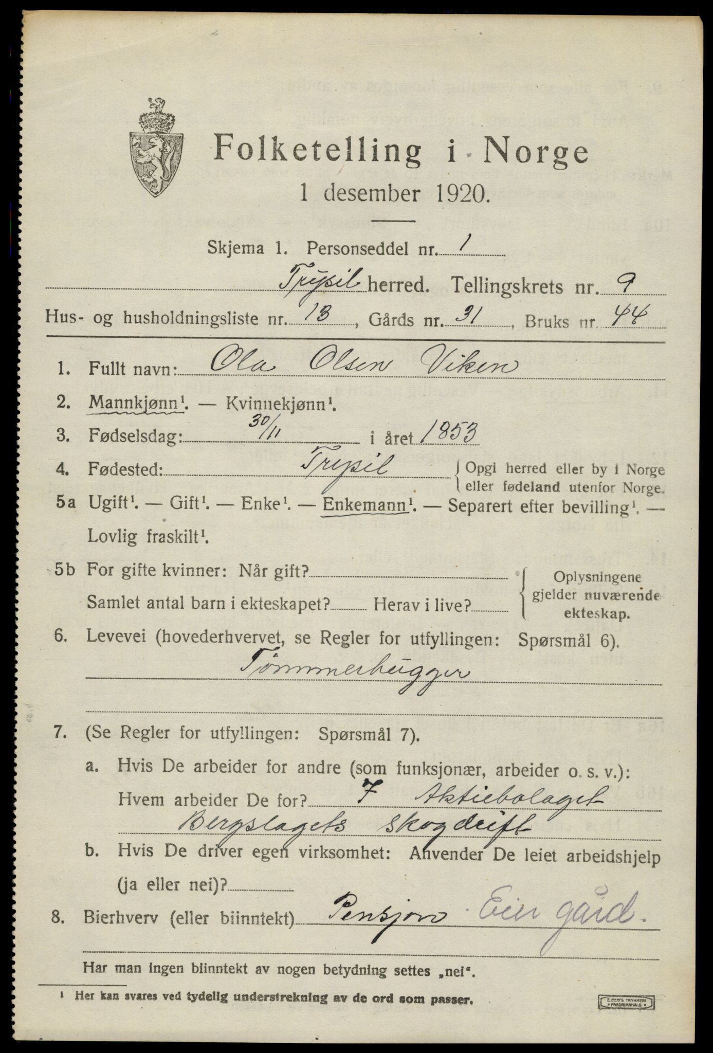 SAH, 1920 census for Trysil, 1920, p. 6675