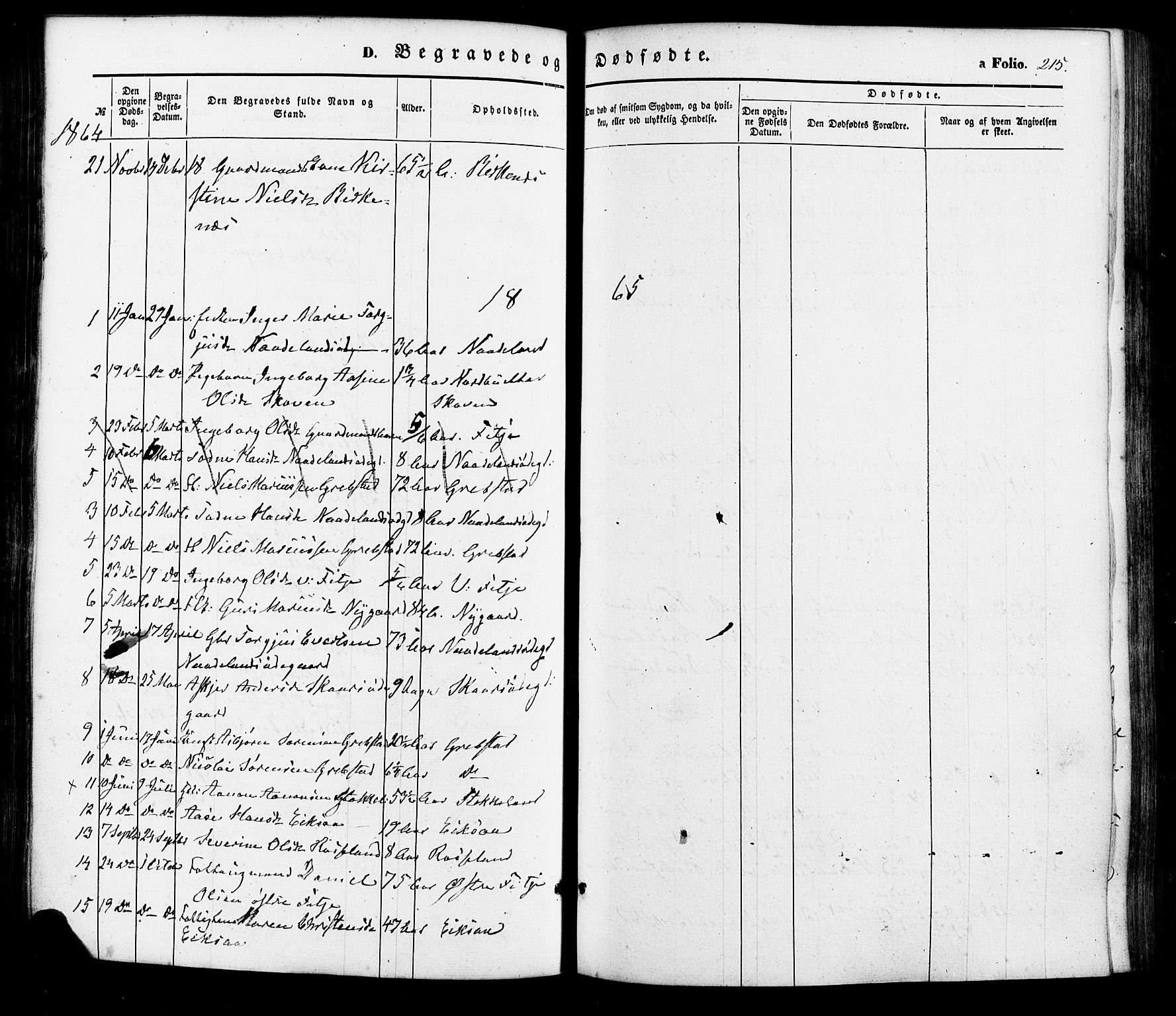 Søgne sokneprestkontor, SAK/1111-0037/F/Fa/Faa/L0002: Parish register (official) no. A 2, 1854-1882, p. 215