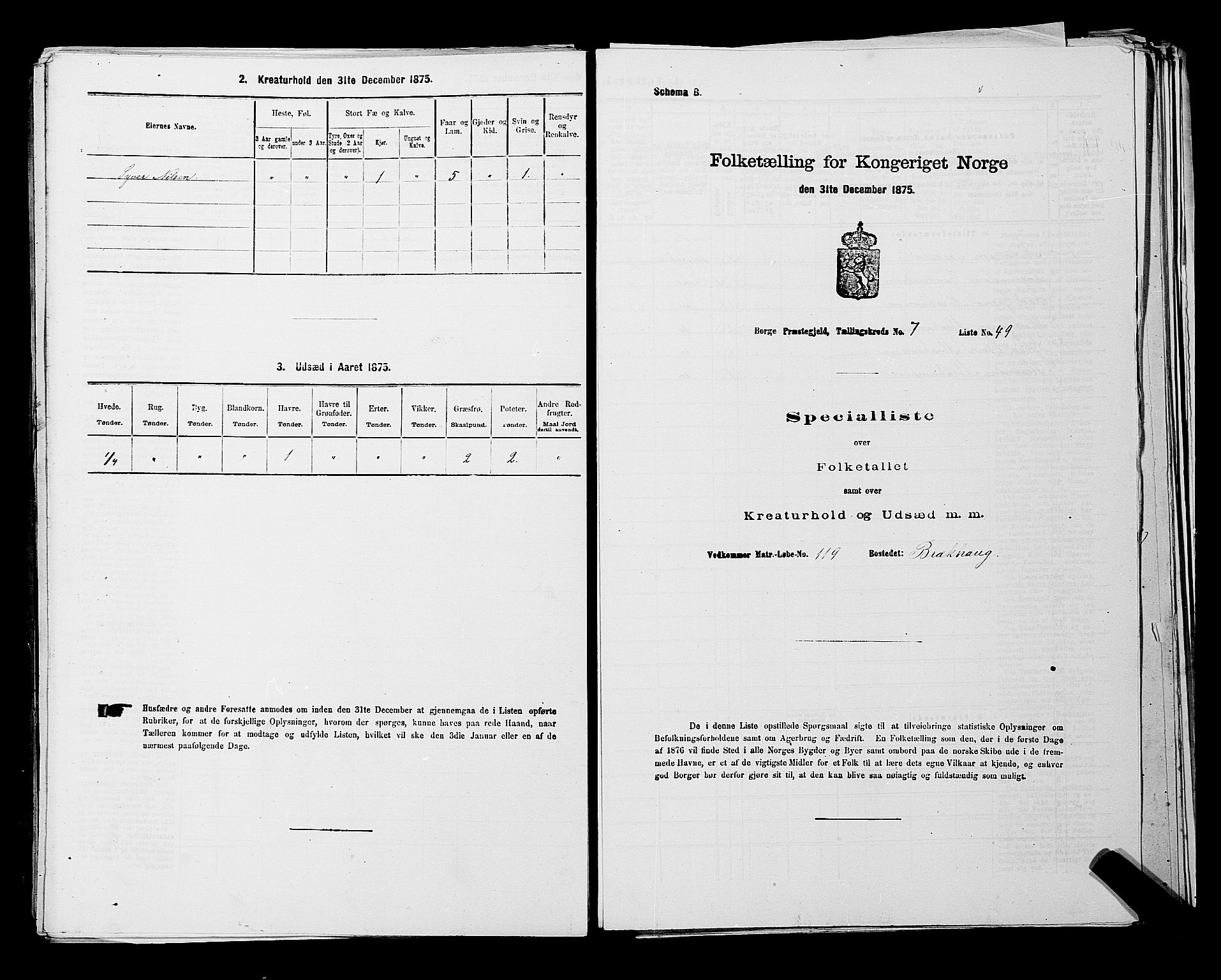 RA, 1875 census for 0113P Borge, 1875, p. 1095