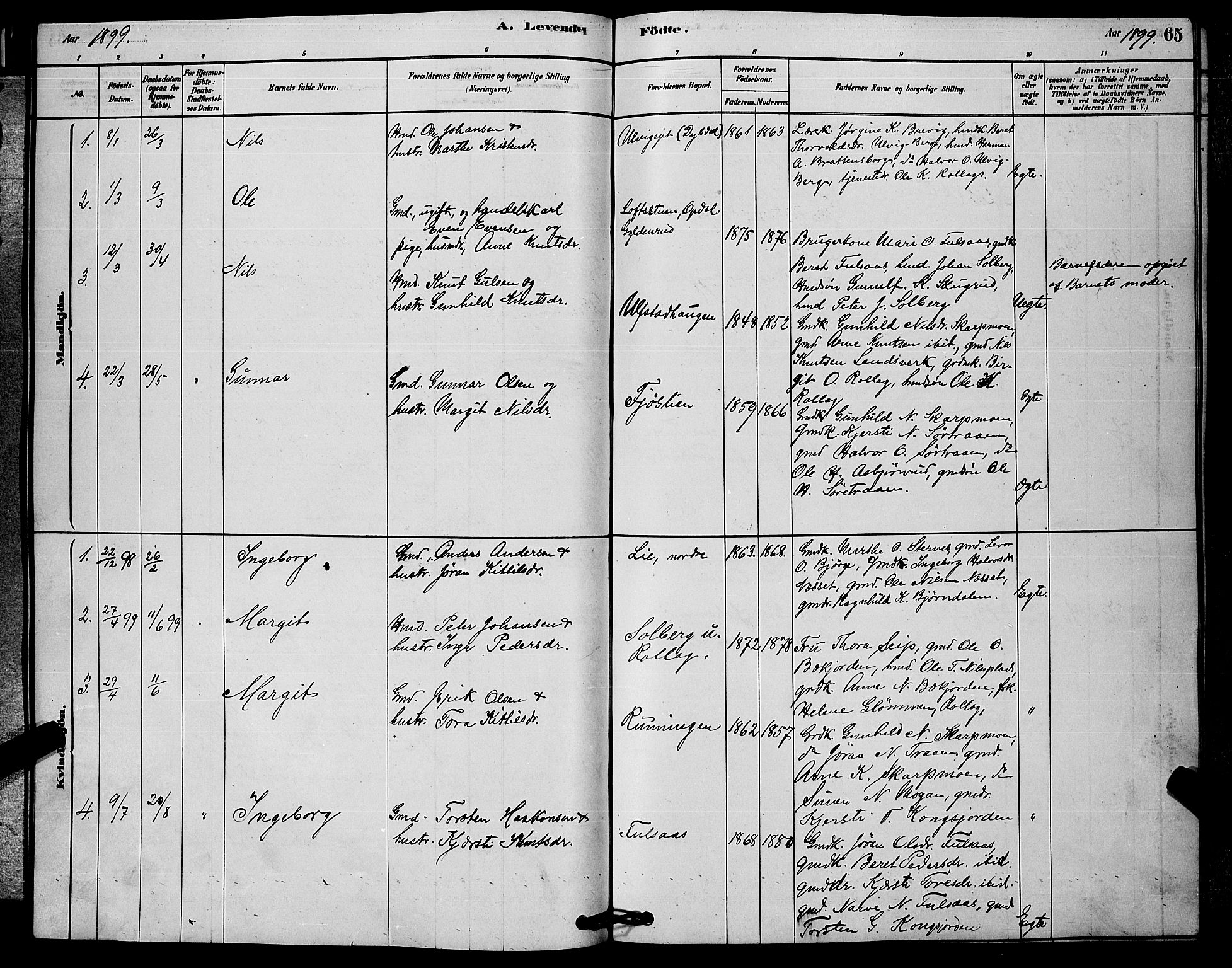 Rollag kirkebøker, AV/SAKO-A-240/G/Ga/L0004: Parish register (copy) no. I 4, 1878-1903, p. 65