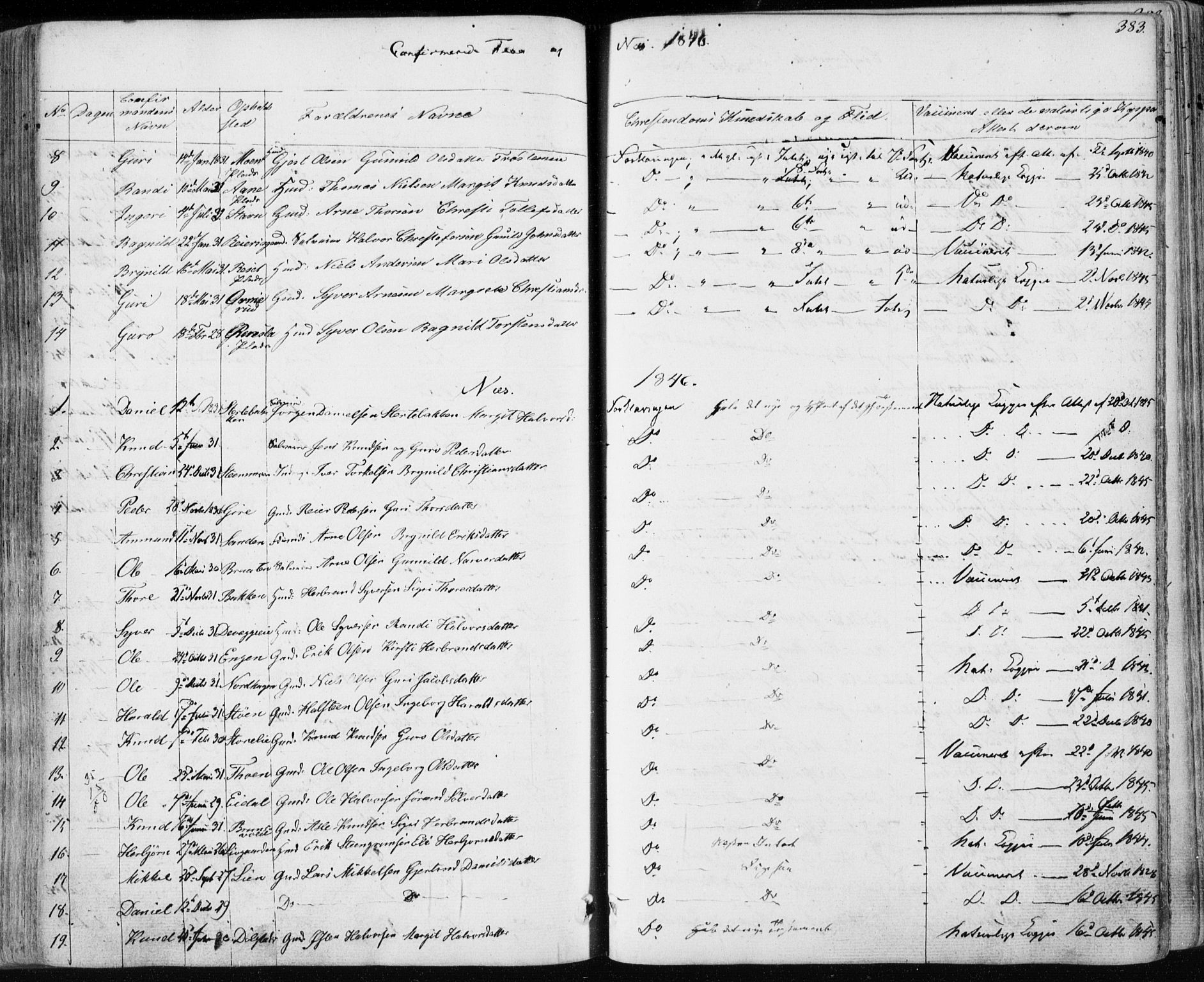 Nes kirkebøker, SAKO/A-236/F/Fa/L0009: Parish register (official) no. 9, 1834-1863, p. 383