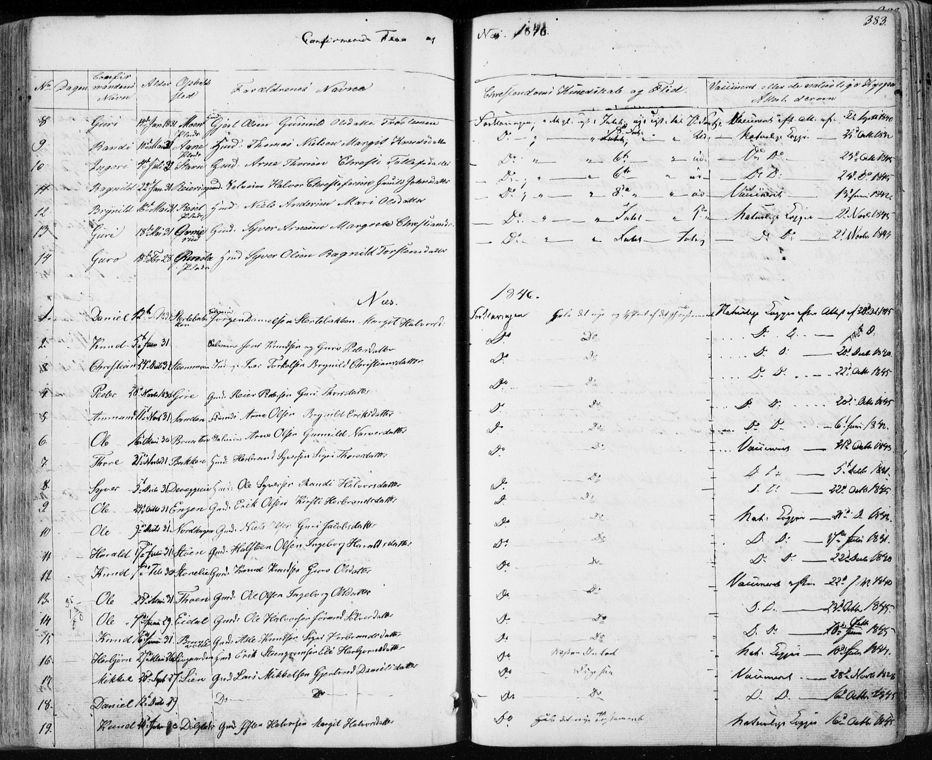 Nes kirkebøker, AV/SAKO-A-236/F/Fa/L0009: Parish register (official) no. 9, 1834-1863, p. 383