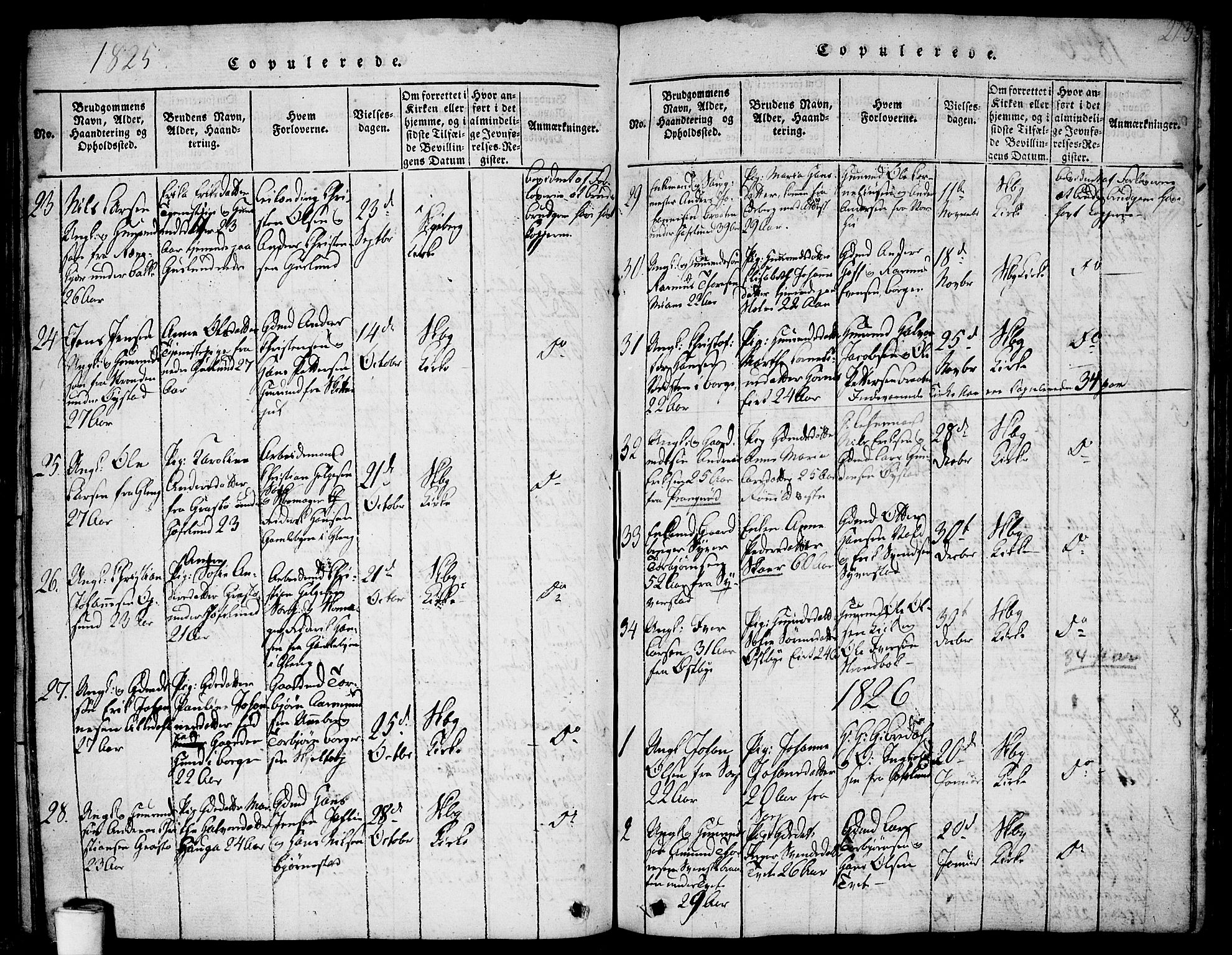 Skjeberg prestekontor Kirkebøker, SAO/A-10923/F/Fa/L0004: Parish register (official) no. I 4, 1815-1830, p. 213