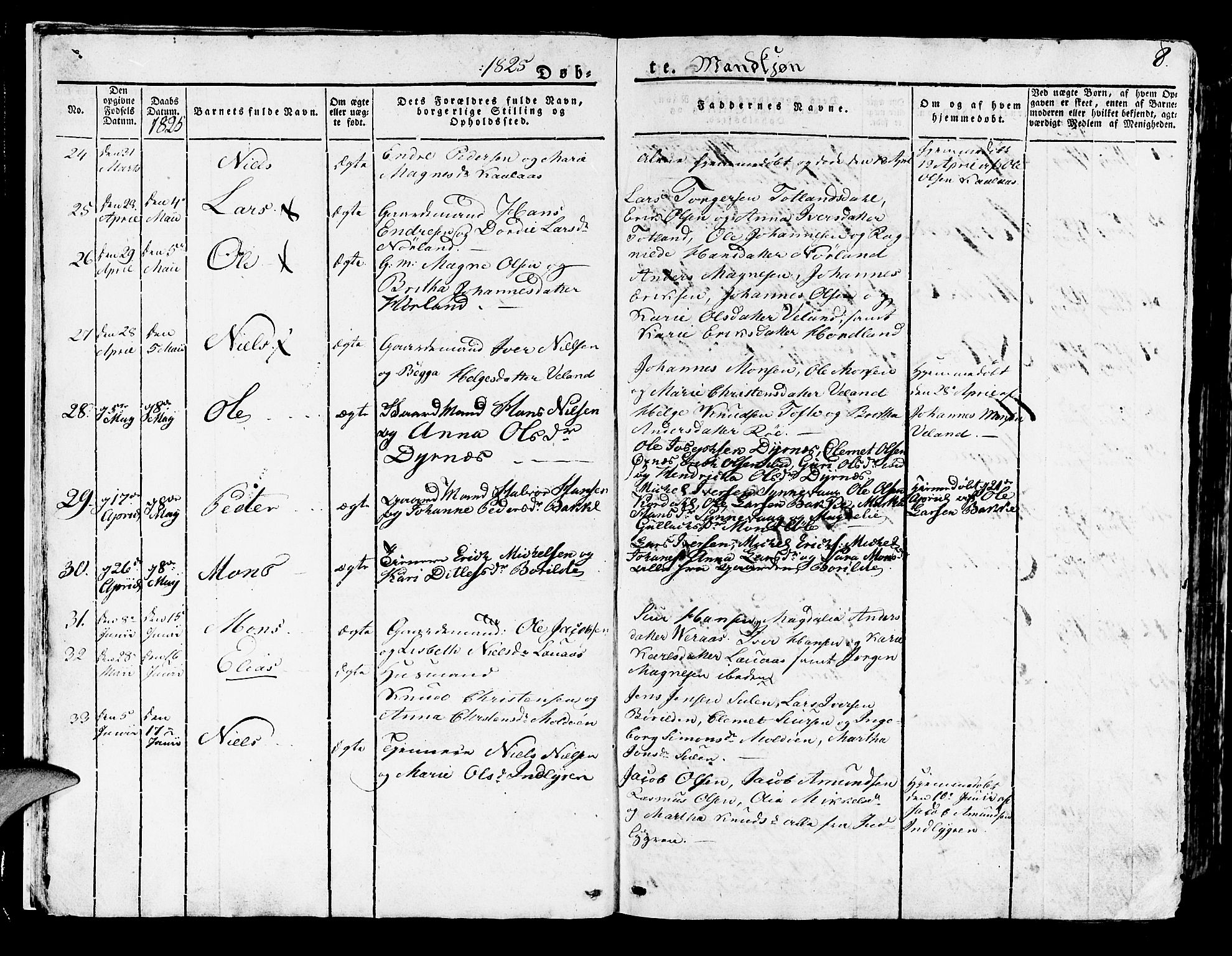 Lindås Sokneprestembete, AV/SAB-A-76701/H/Haa/Haaa/L0008: Parish register (official) no. A 8, 1823-1836, p. 8