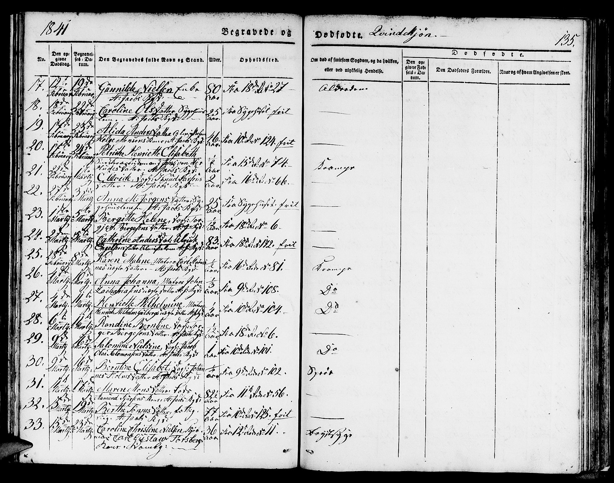 Domkirken sokneprestembete, SAB/A-74801/H/Hab/L0037: Parish register (copy) no. E 1, 1836-1848, p. 135