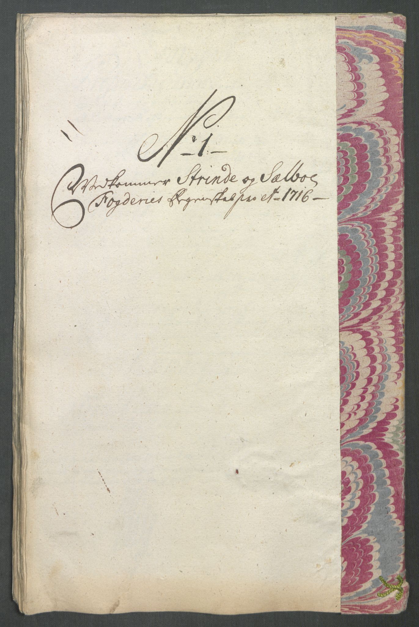 Rentekammeret inntil 1814, Reviderte regnskaper, Fogderegnskap, AV/RA-EA-4092/R61/L4115: Fogderegnskap Strinda og Selbu, 1715-1716, p. 302