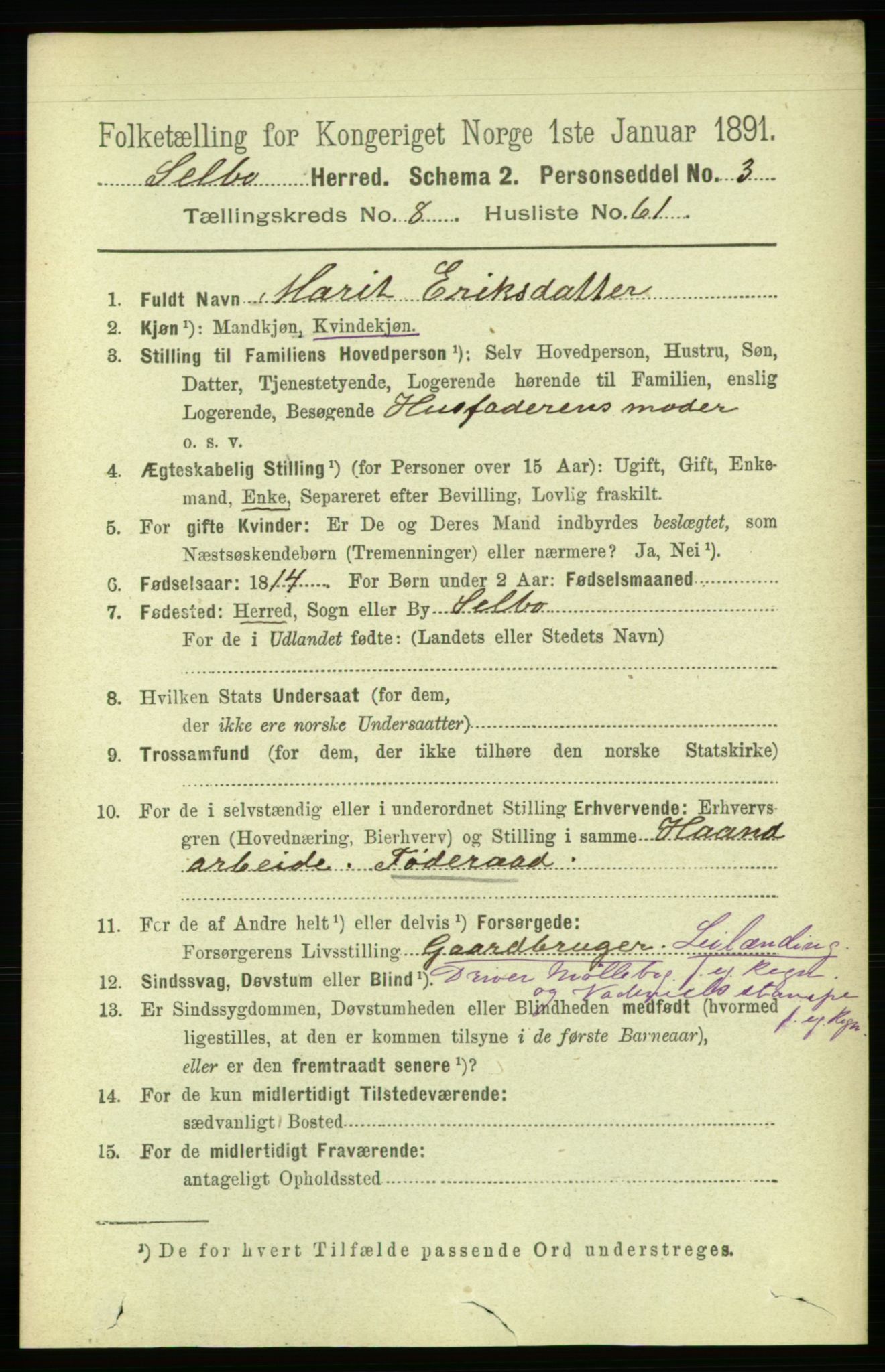 RA, 1891 census for 1664 Selbu, 1891, p. 3296