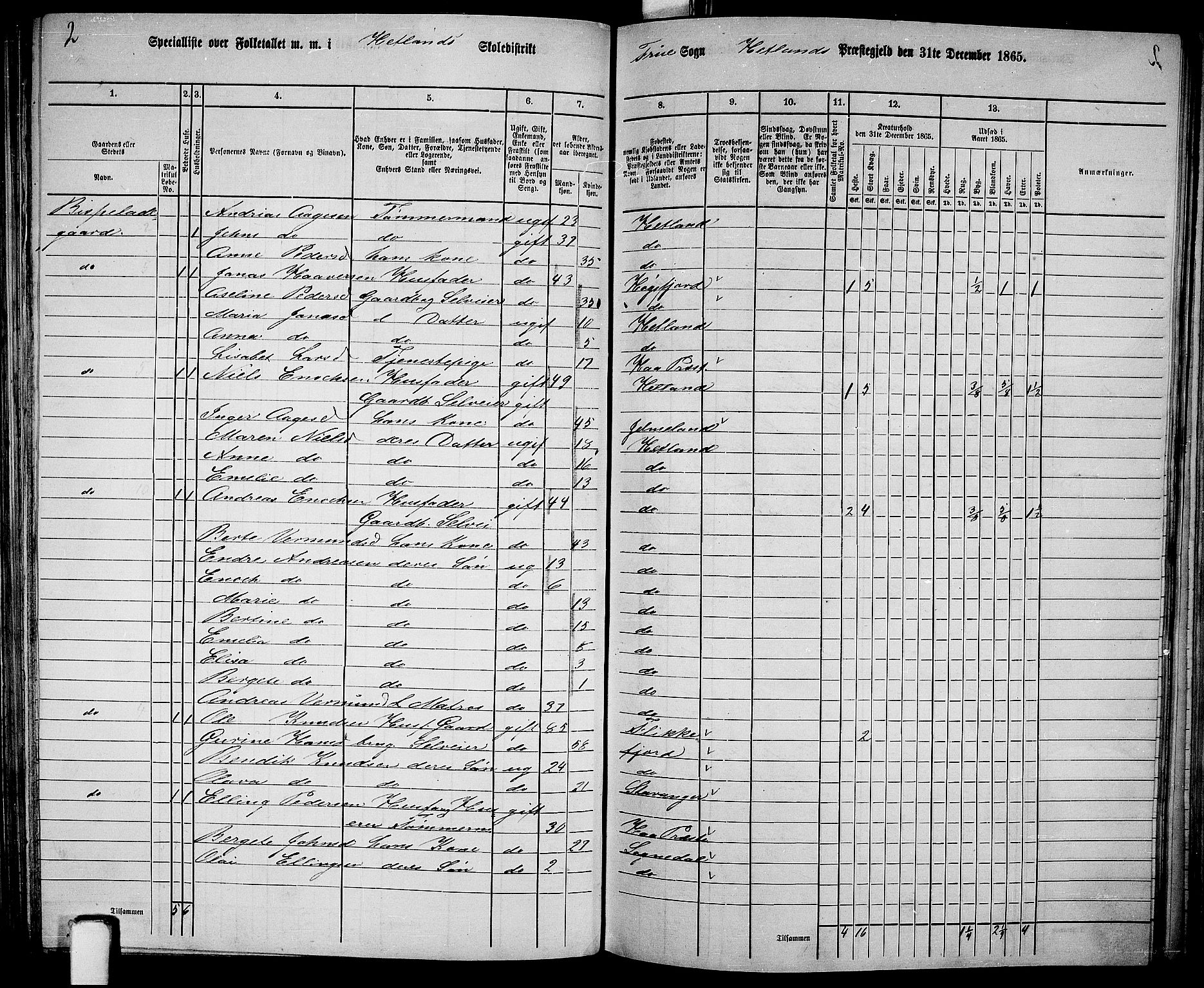 RA, 1865 census for Hetland, 1865, p. 129