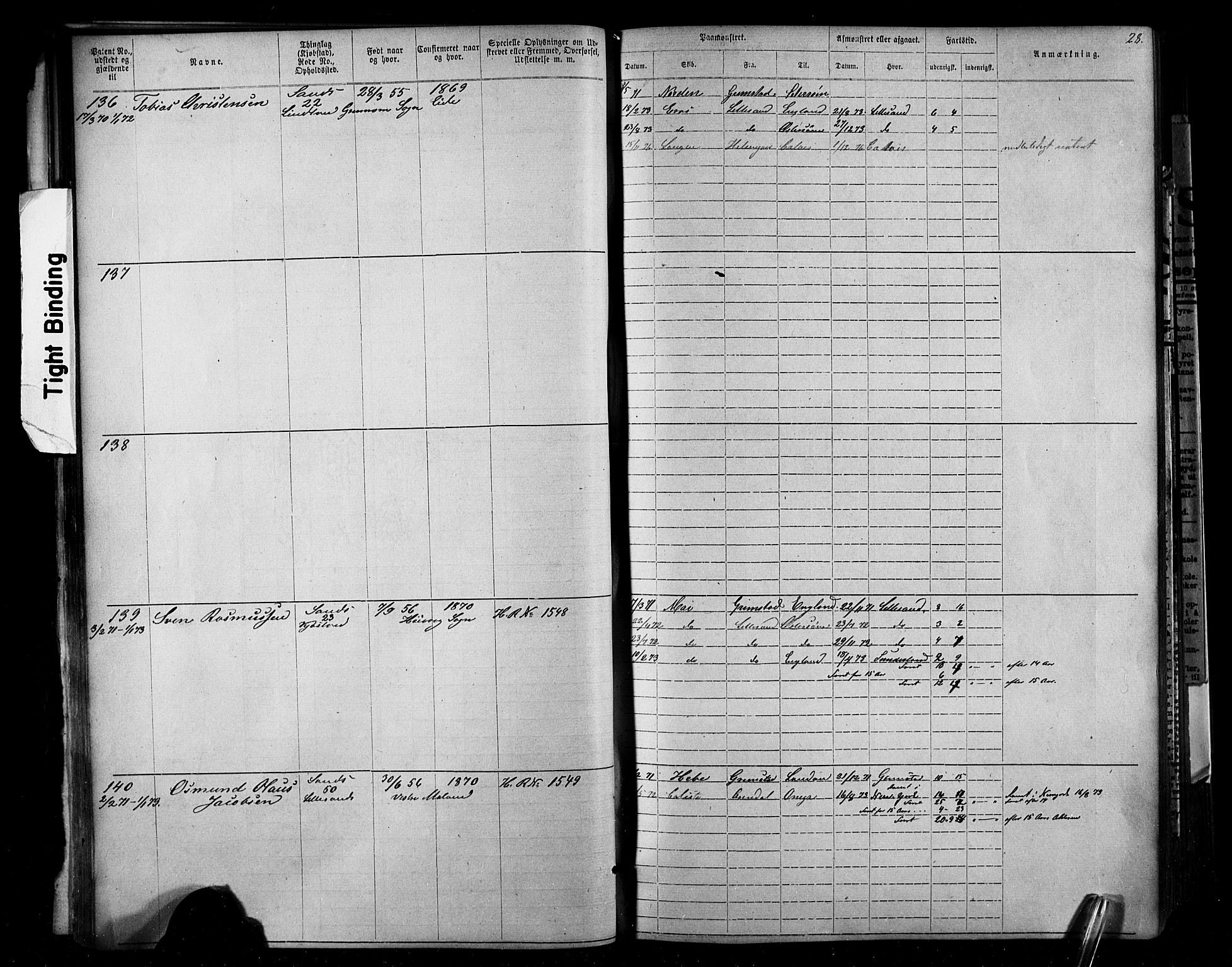 Lillesand mønstringskrets, SAK/2031-0014/F/Fa/L0002: Annotasjonsrulle nr 1-1910 med register, W-8, 1868-1891, p. 45