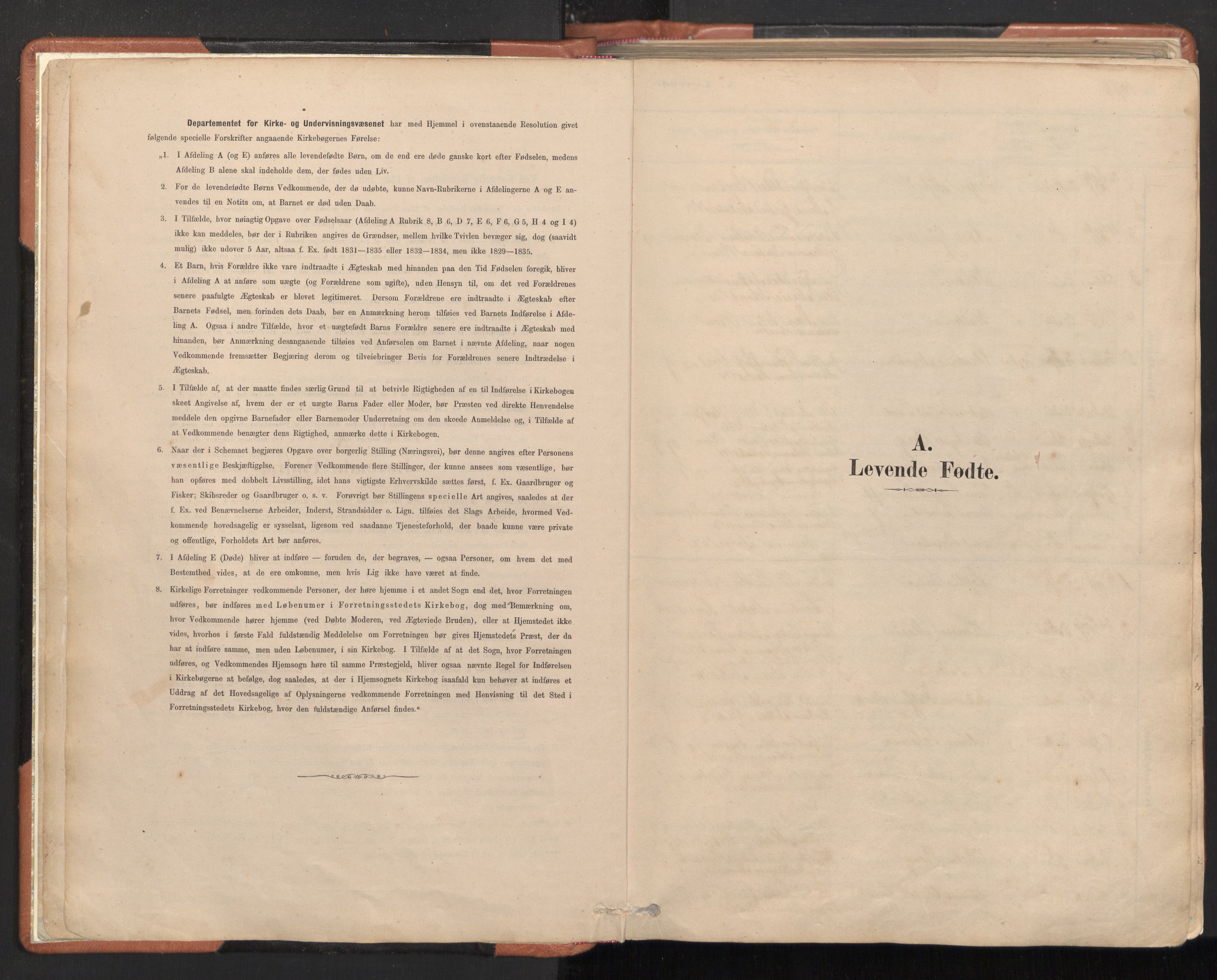 Ministerialprotokoller, klokkerbøker og fødselsregistre - Nordland, AV/SAT-A-1459/817/L0264: Parish register (official) no. 817A04, 1878-1907