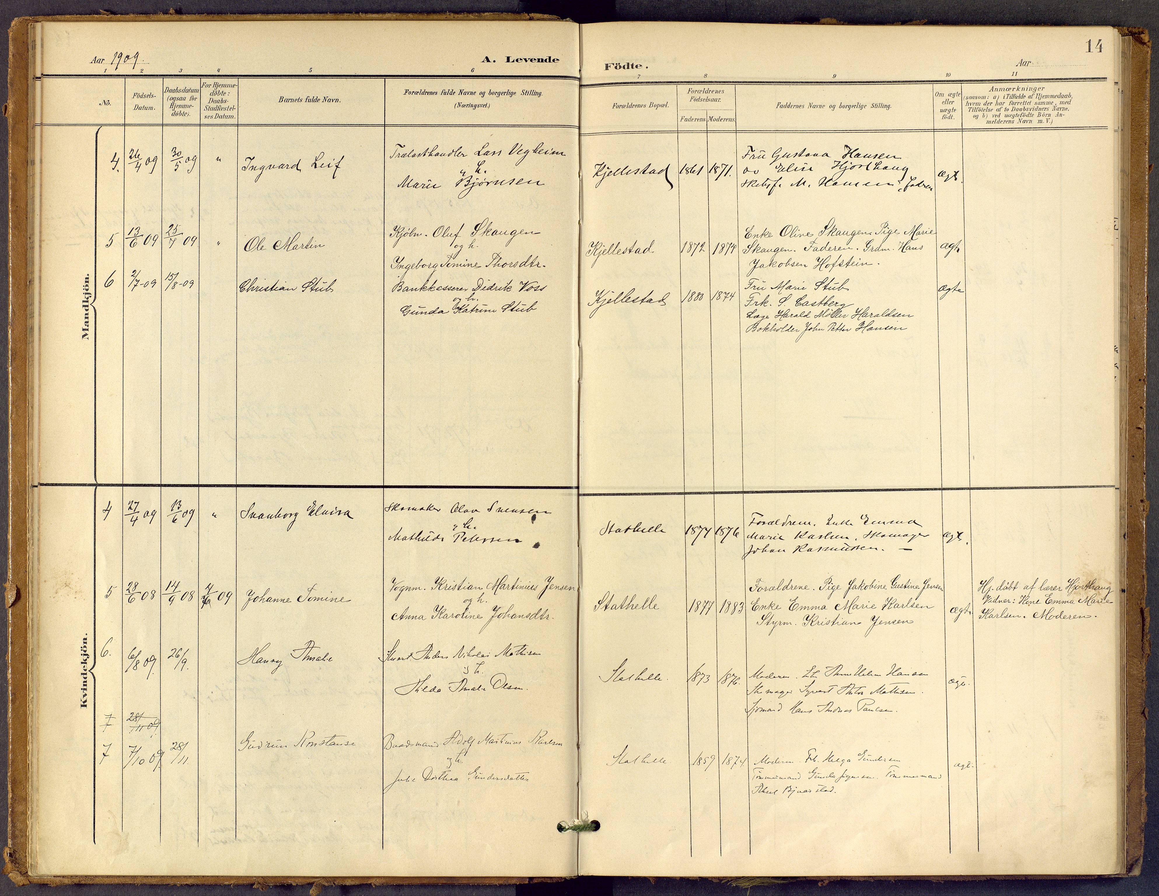 Bamble kirkebøker, SAKO/A-253/F/Fb/L0002: Parish register (official) no. II 2, 1900-1921, p. 14
