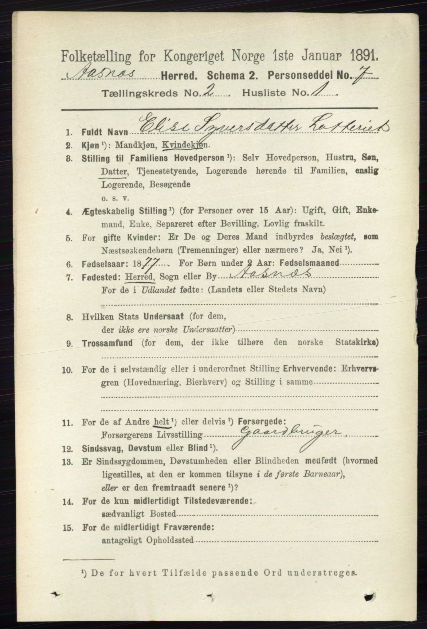 RA, 1891 census for 0425 Åsnes, 1891, p. 651