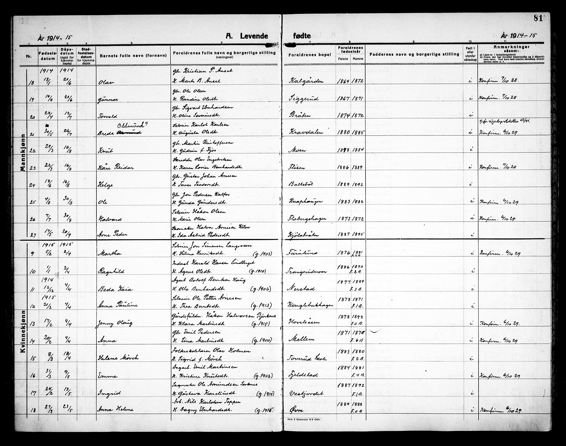 Åsnes prestekontor, AV/SAH-PREST-042/H/Ha/Haa/L0000C: Parish register (official) no. 0A, 1890-1929, p. 81