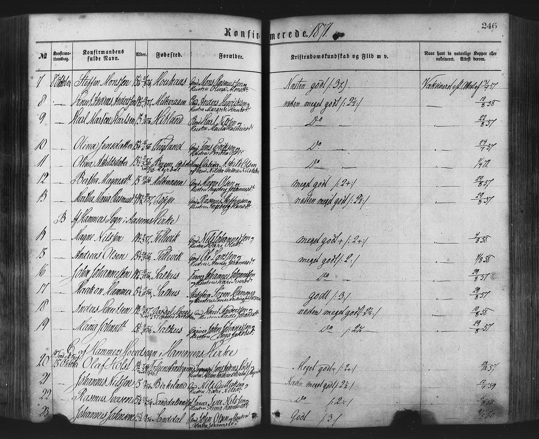 Hamre sokneprestembete, AV/SAB-A-75501/H/Ha/Haa/Haaa/L0015: Parish register (official) no. A 15, 1870-1881, p. 246