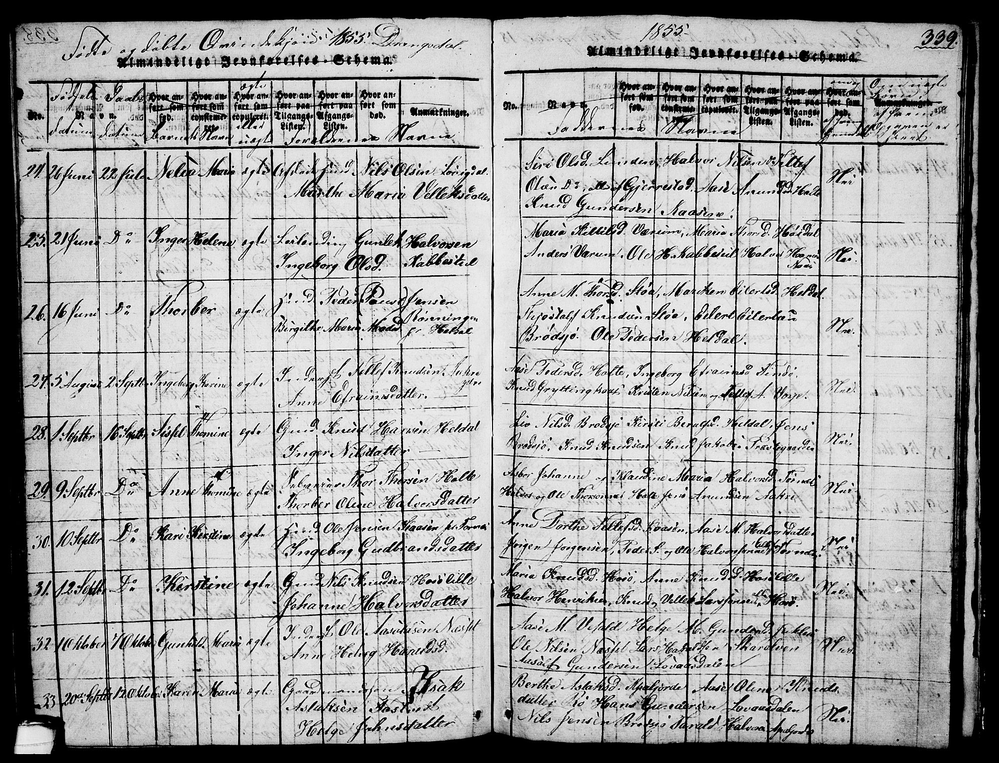 Drangedal kirkebøker, SAKO/A-258/G/Ga/L0001: Parish register (copy) no. I 1 /1, 1814-1856, p. 339