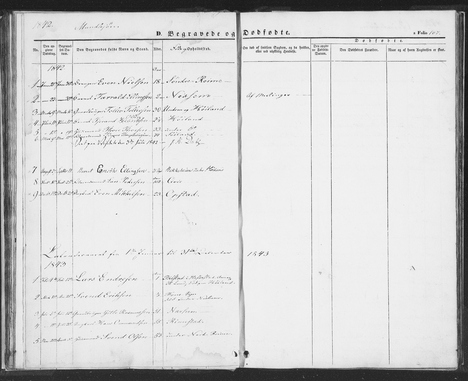 Hå sokneprestkontor, SAST/A-101801/001/30BA/L0006: Parish register (official) no. A 5, 1842-1853, p. 107
