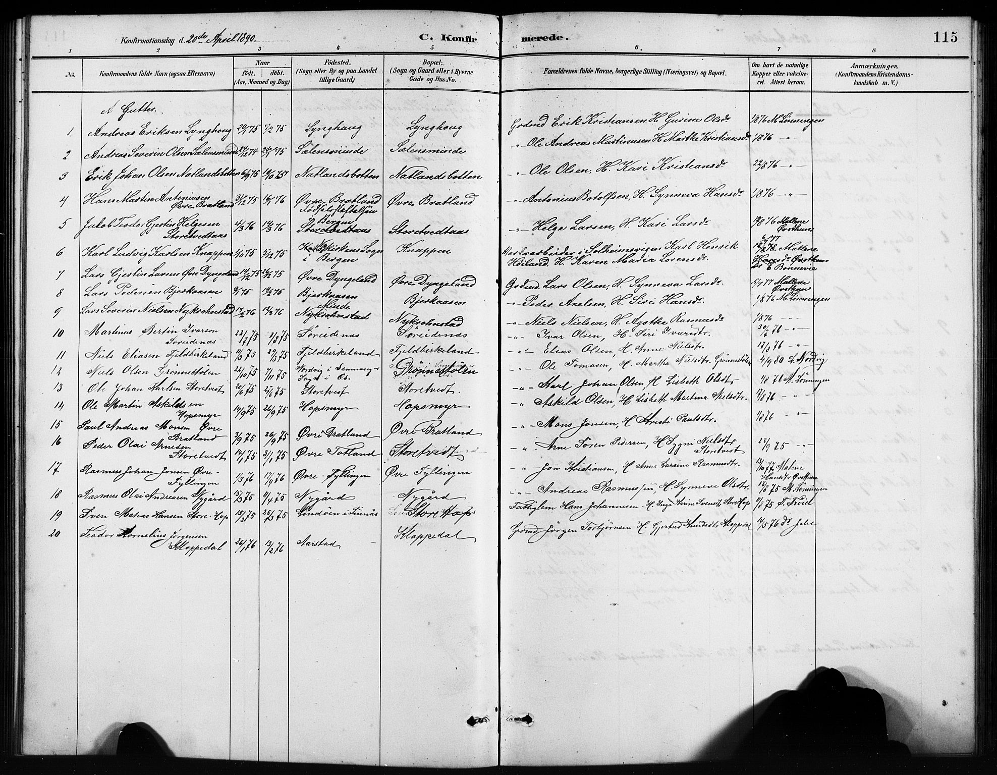 Birkeland Sokneprestembete, SAB/A-74601/H/Hab: Parish register (copy) no. A 4, 1888-1897, p. 115
