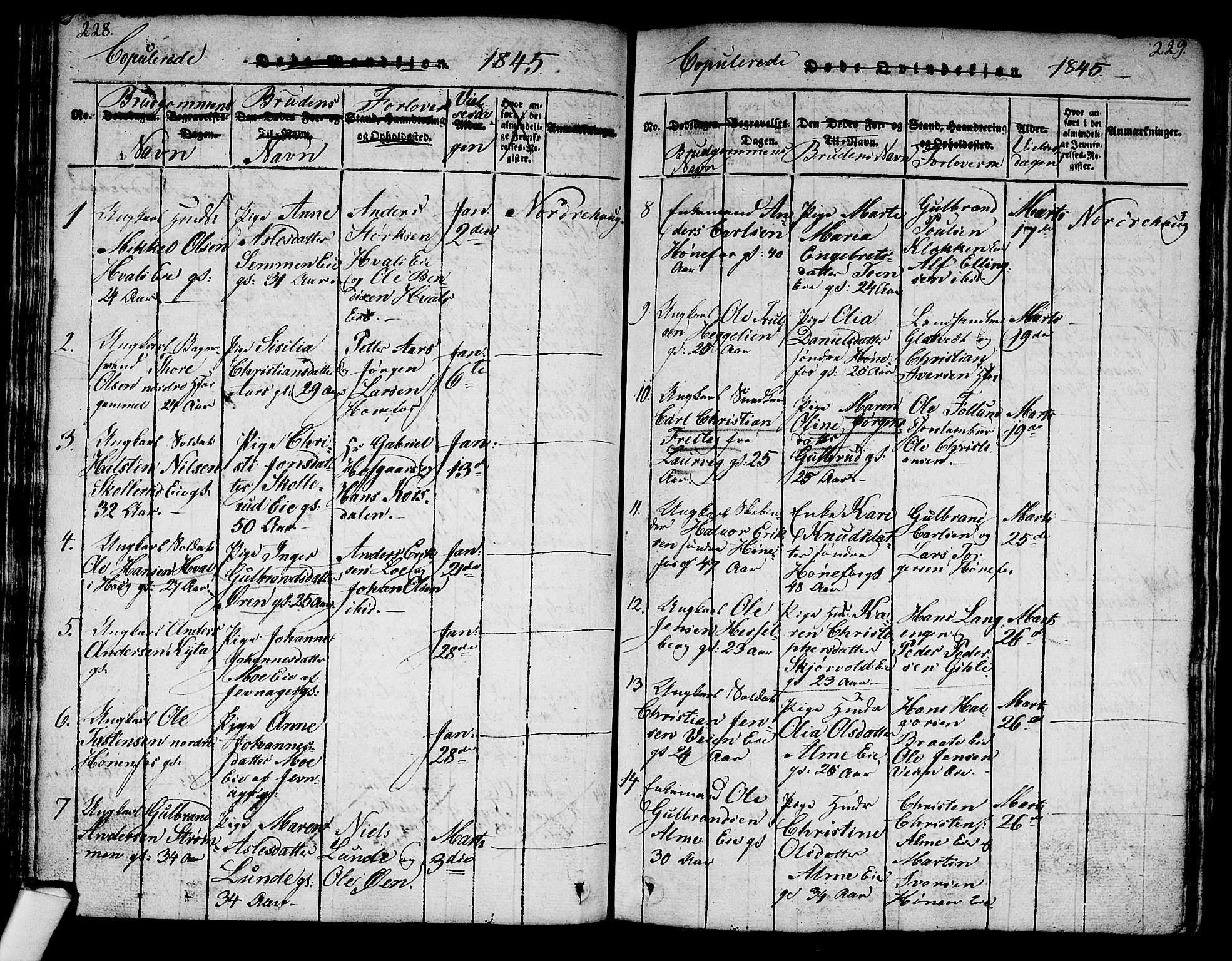 Norderhov kirkebøker, SAKO/A-237/G/Ga/L0003: Parish register (copy) no. I 3 /1, 1814-1876, p. 228-229