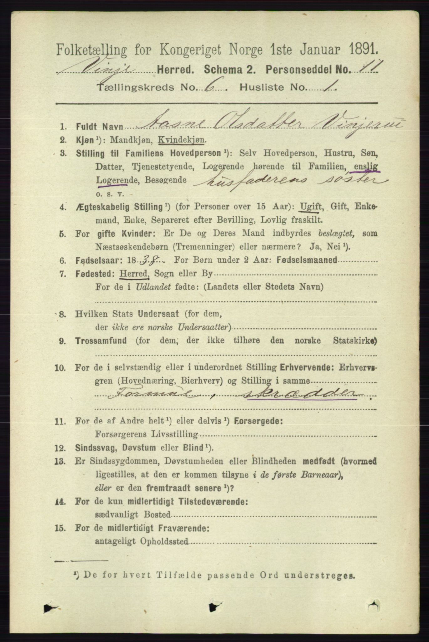 RA, 1891 census for 0834 Vinje, 1891, p. 1421