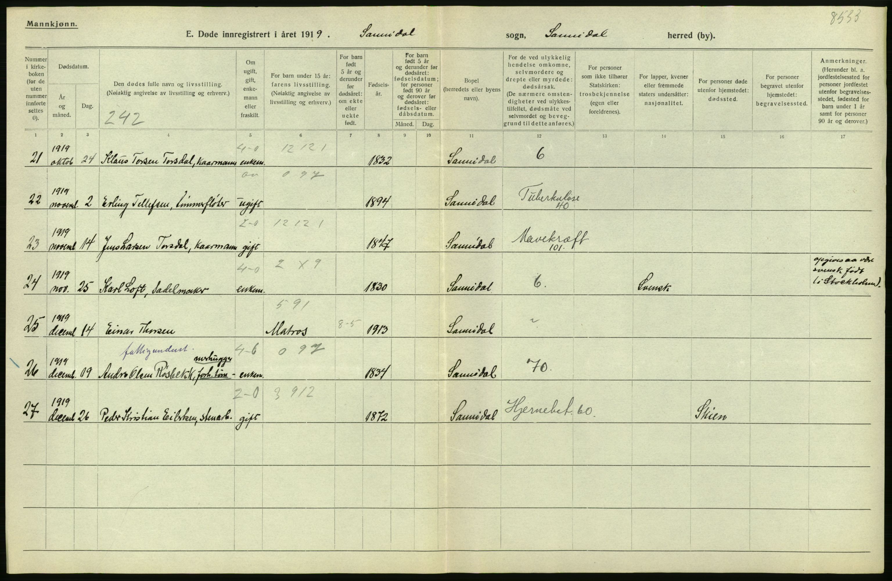 Statistisk sentralbyrå, Sosiodemografiske emner, Befolkning, RA/S-2228/D/Df/Dfb/Dfbi/L0023: Telemark fylke: Døde. Bygder og byer., 1919, p. 14