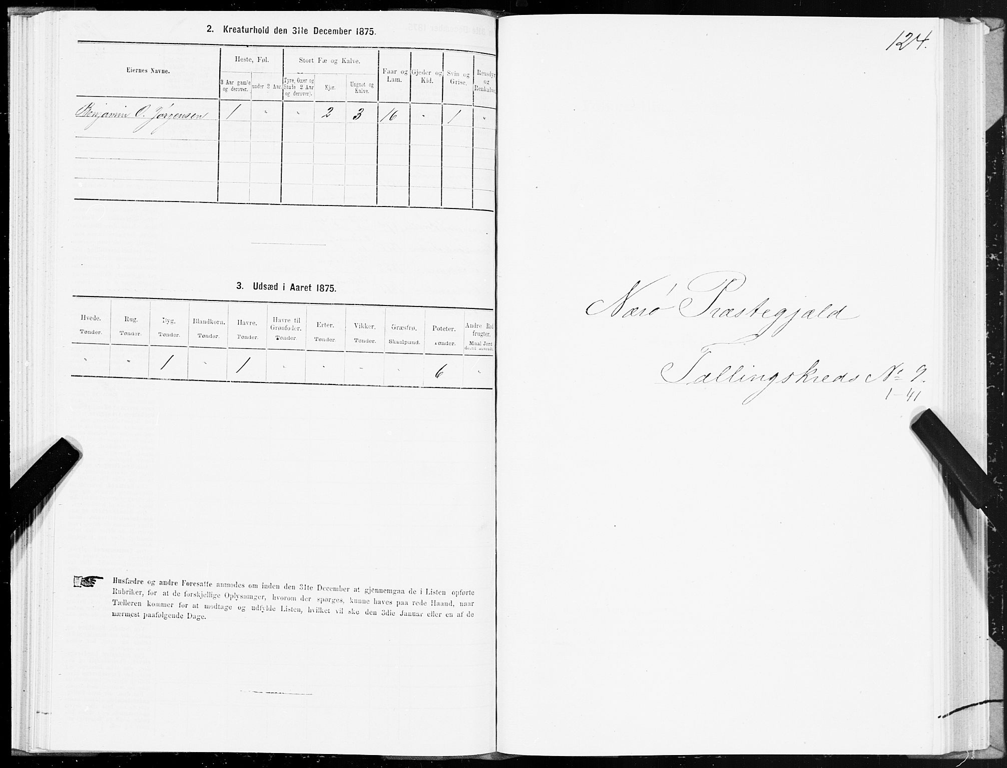 SAT, 1875 census for 1751P Nærøy, 1875, p. 4124