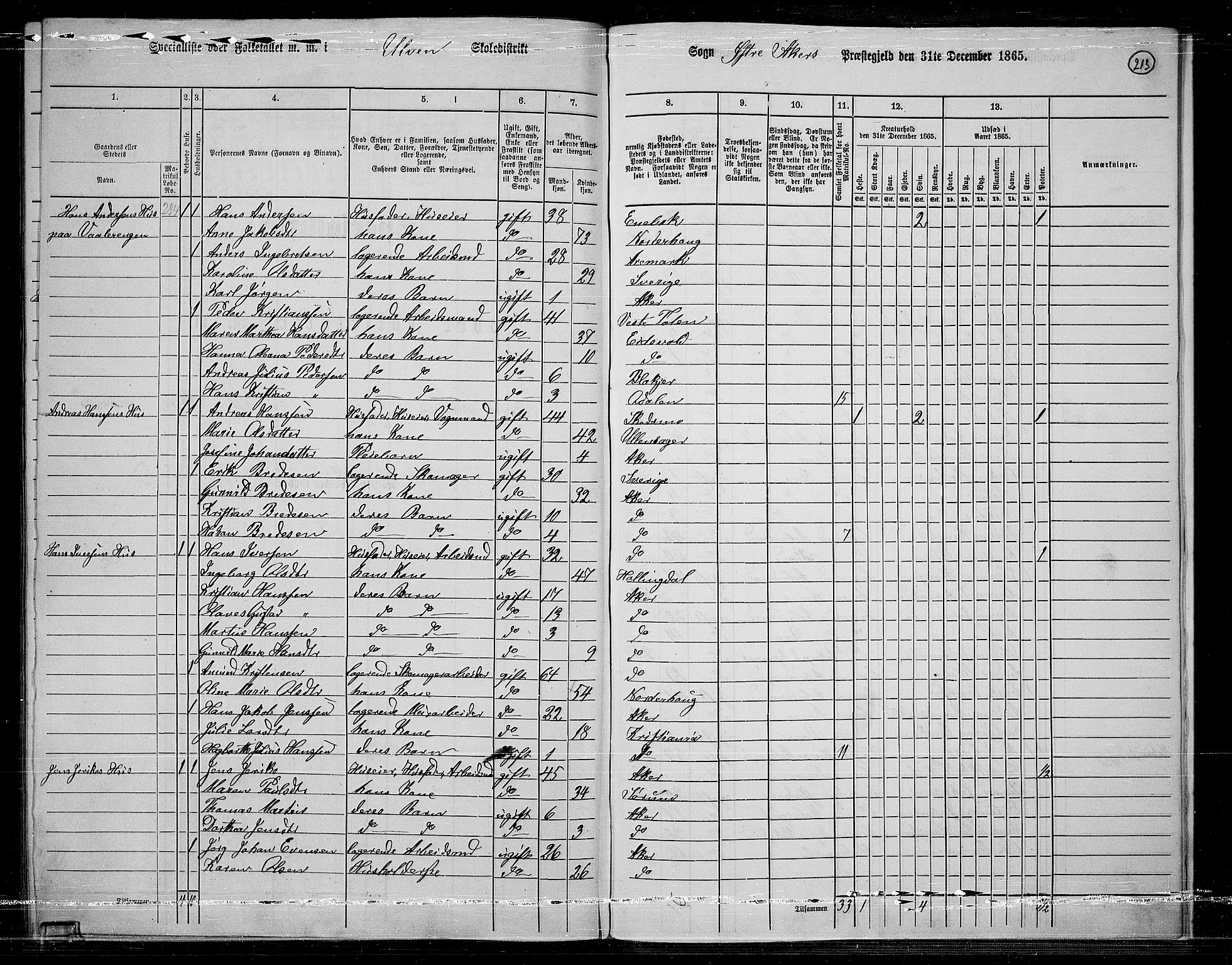 RA, 1865 census for Østre Aker, 1865, p. 199