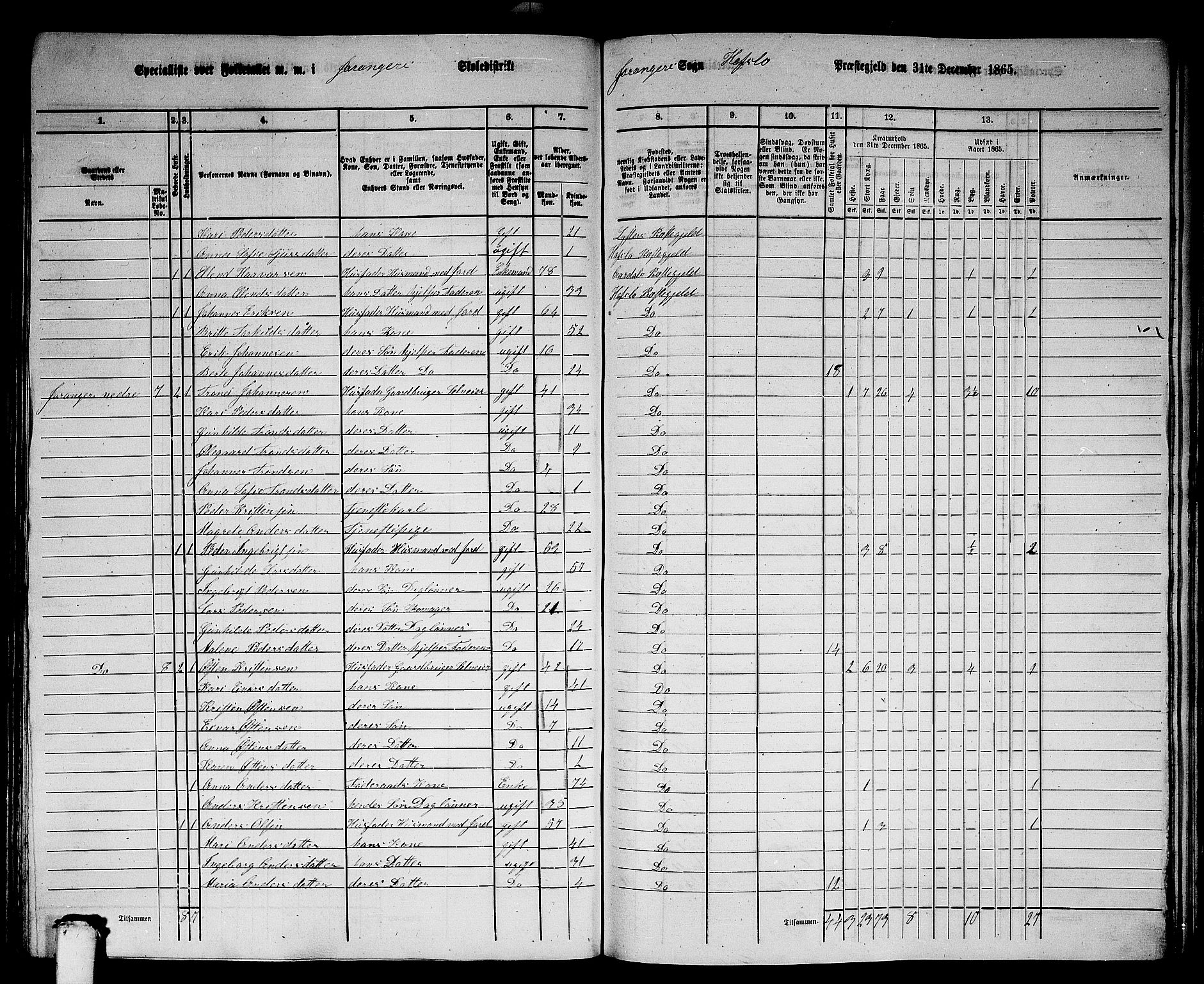 RA, 1865 census for Hafslo, 1865, p. 119