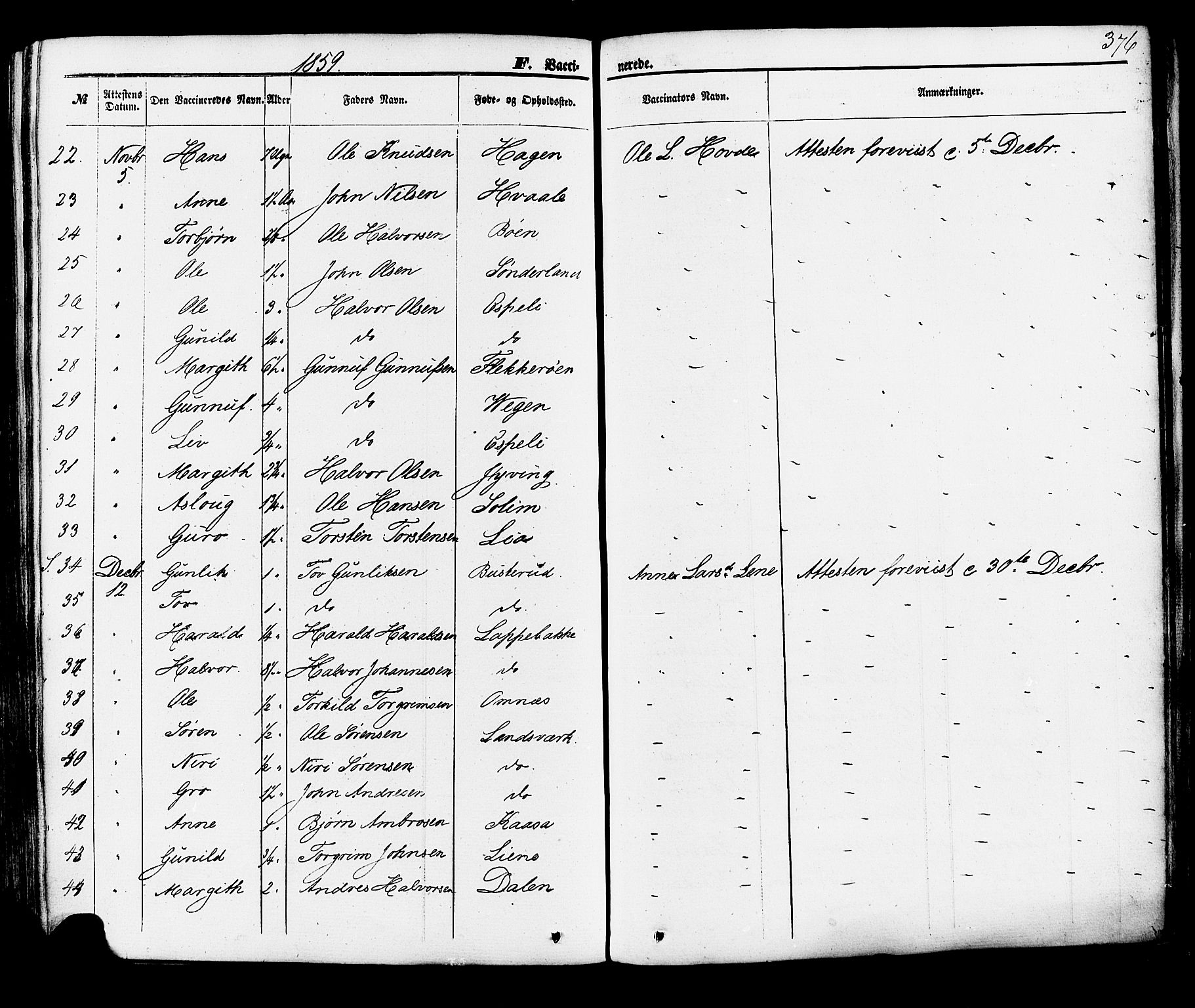 Hjartdal kirkebøker, SAKO/A-270/F/Fa/L0009: Parish register (official) no. I 9, 1860-1879, p. 376