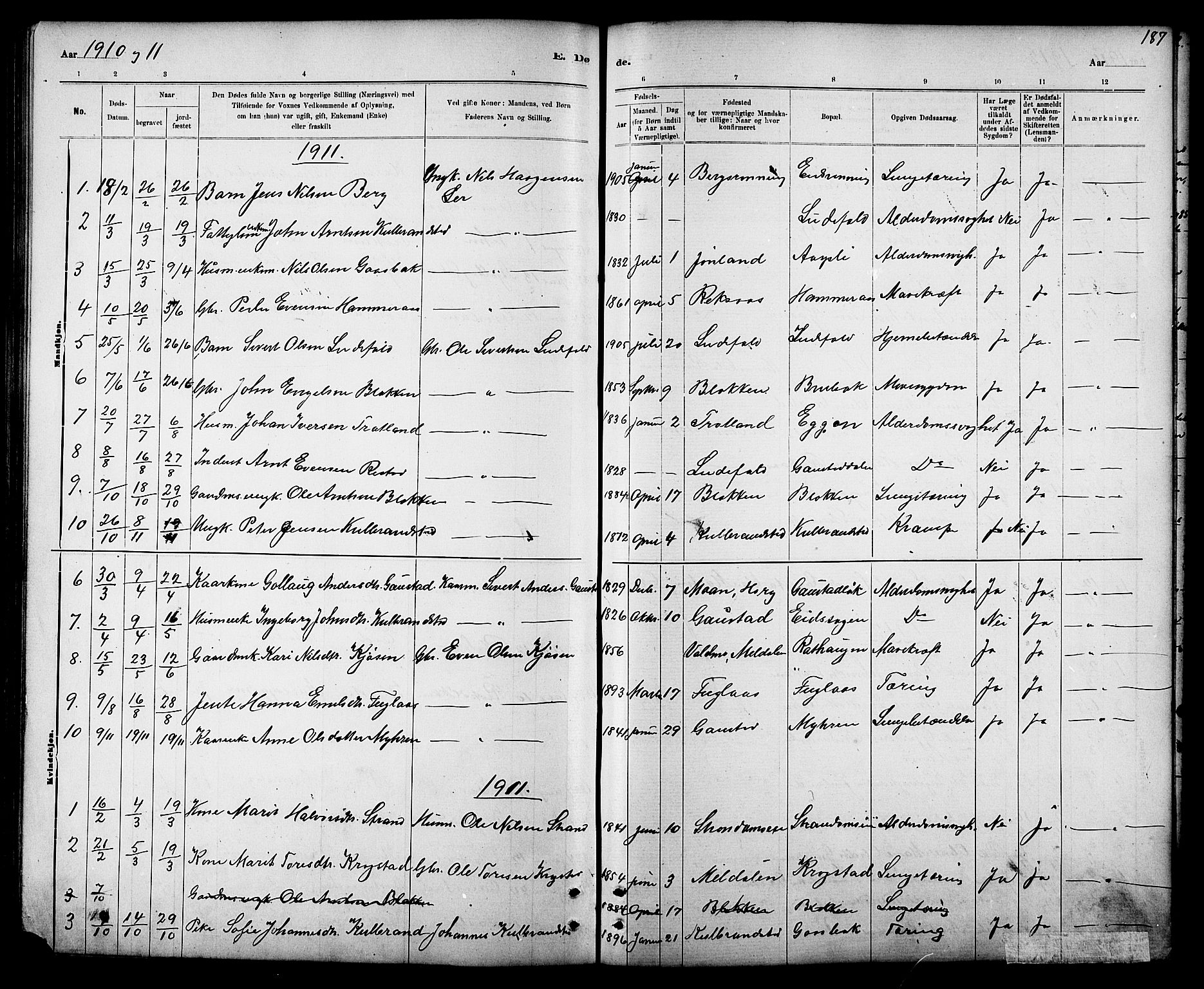 Ministerialprotokoller, klokkerbøker og fødselsregistre - Sør-Trøndelag, SAT/A-1456/694/L1132: Parish register (copy) no. 694C04, 1887-1914, p. 187