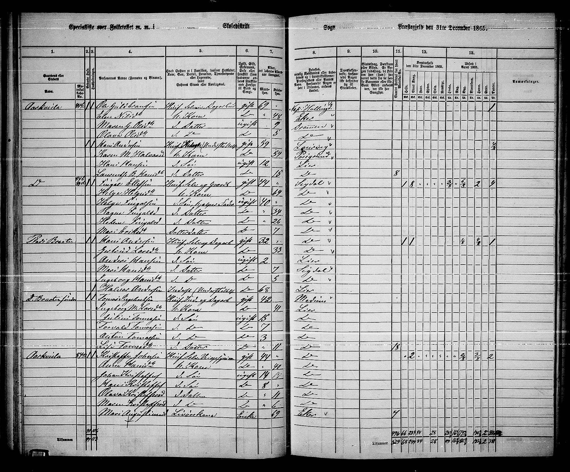 RA, 1865 census for Lier, 1865, p. 58