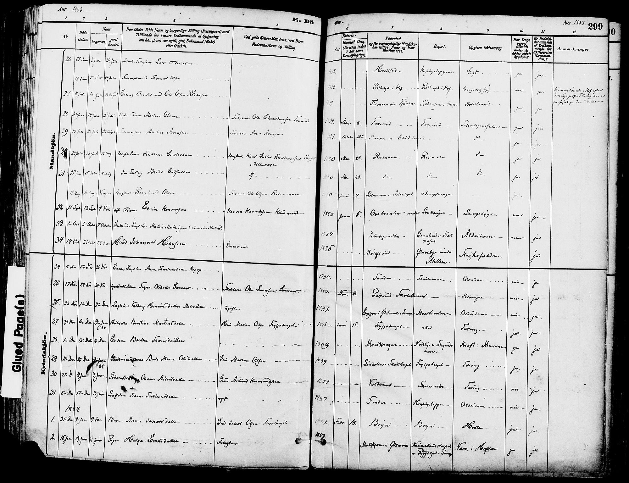 Grue prestekontor, SAH/PREST-036/H/Ha/Haa/L0012: Parish register (official) no. 12, 1881-1897, p. 299