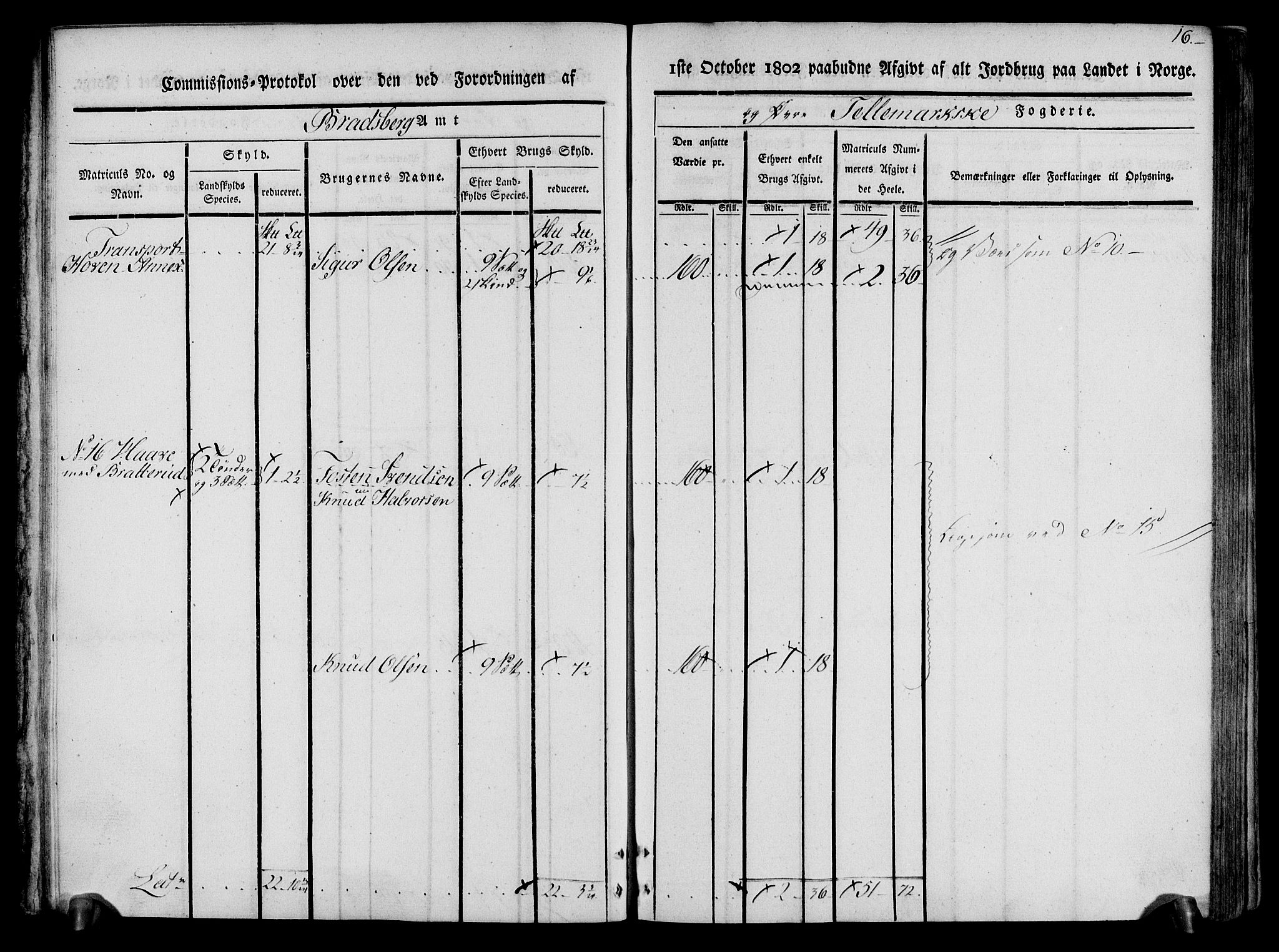 Rentekammeret inntil 1814, Realistisk ordnet avdeling, RA/EA-4070/N/Ne/Nea/L0074: Øvre Telemarken fogderi. Kommisjonsprotokoll for fogderiets østre del - Tinn, Hjartdal og Seljord prestegjeld., 1803, p. 16