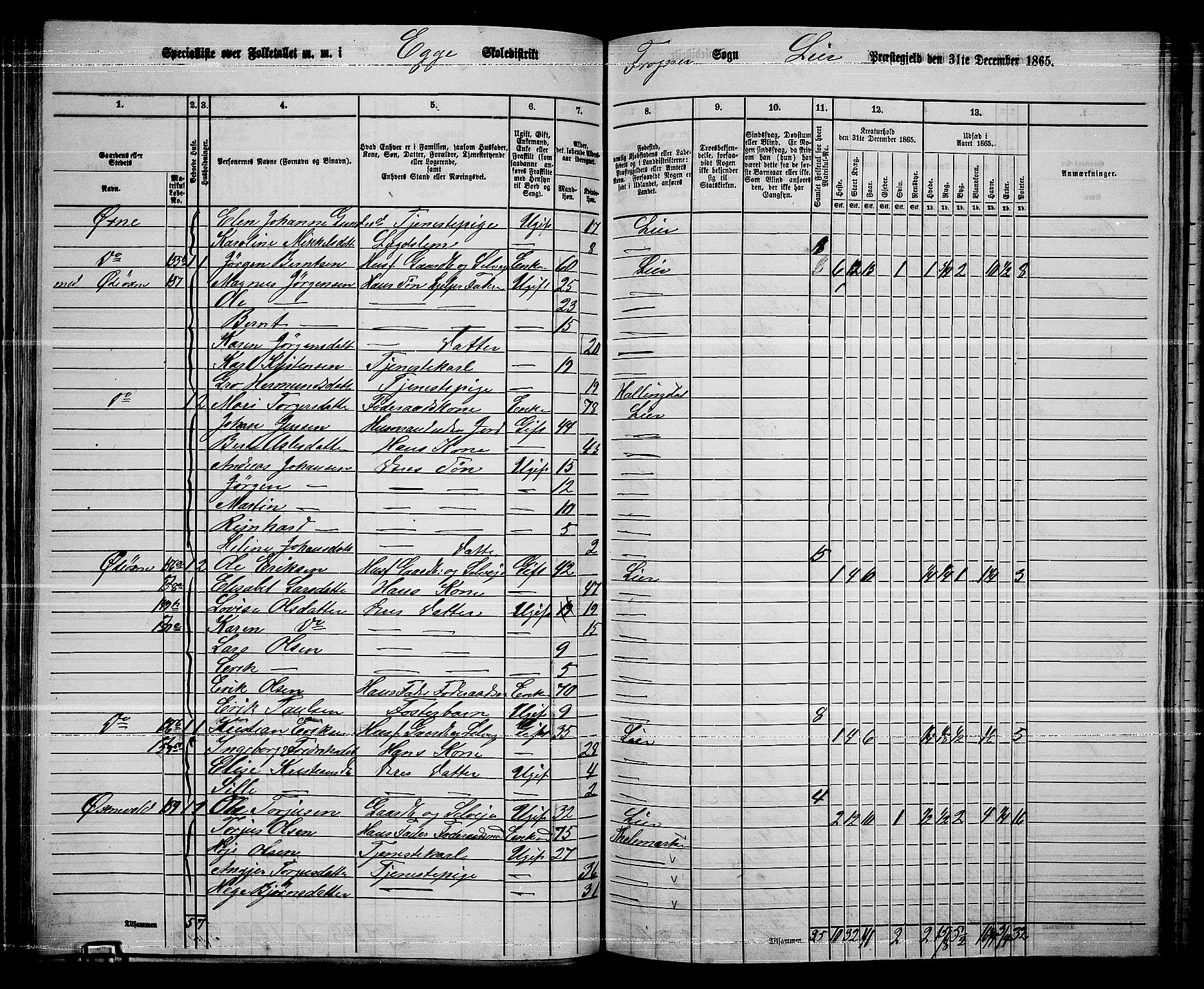 RA, 1865 census for Lier, 1865, p. 91