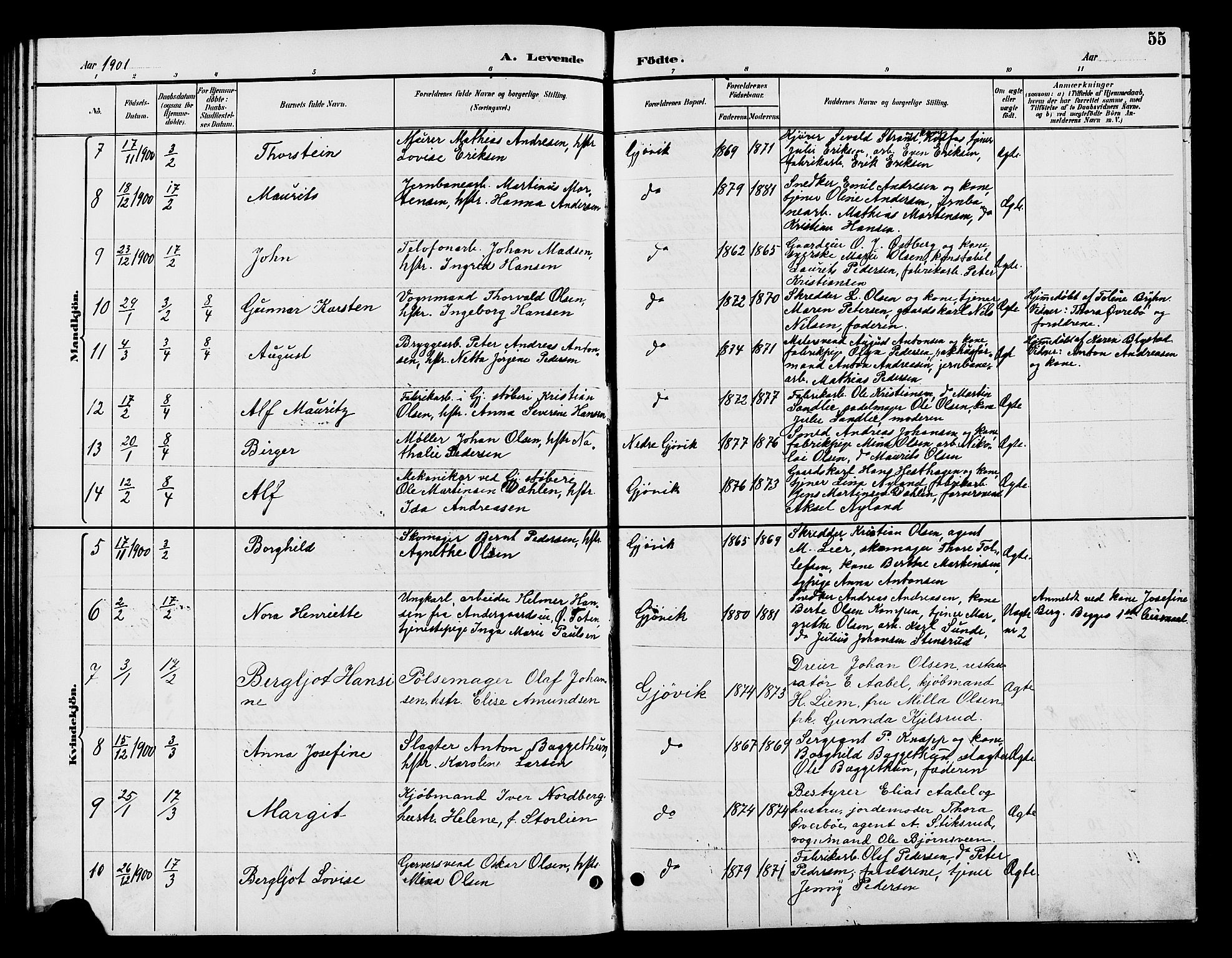 Vardal prestekontor, SAH/PREST-100/H/Ha/Hab/L0009: Parish register (copy) no. 9, 1894-1902, p. 55