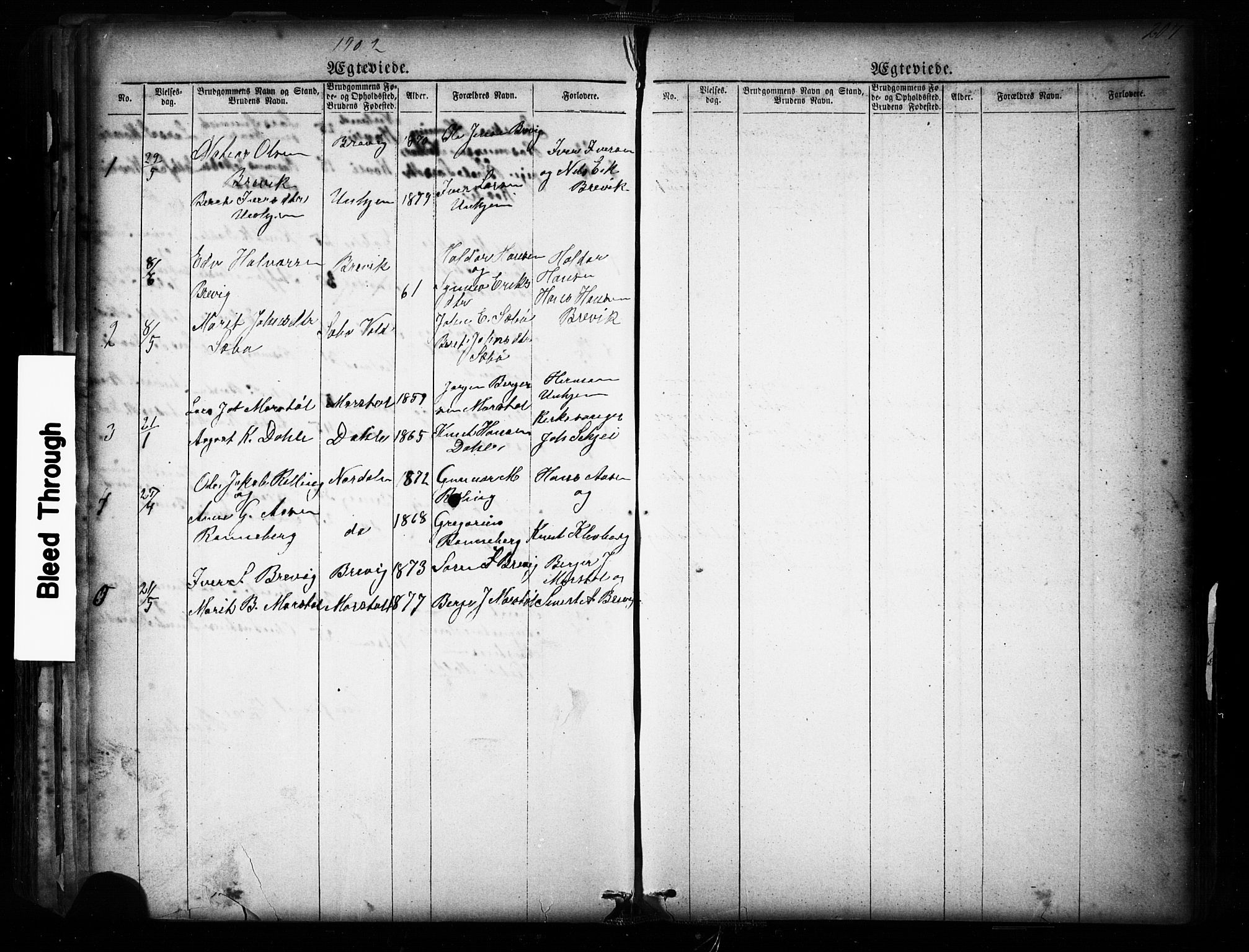 Ministerialprotokoller, klokkerbøker og fødselsregistre - Møre og Romsdal, SAT/A-1454/545/L0588: Parish register (copy) no. 545C02, 1867-1902, p. 207