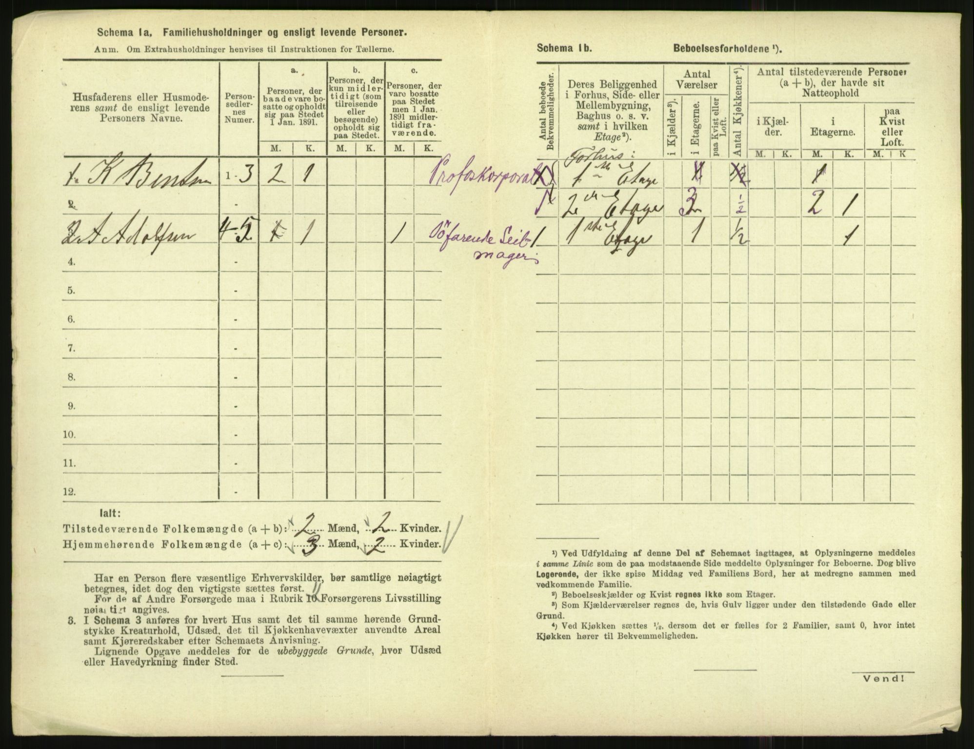 RA, 1891 census for 1001 Kristiansand, 1891, p. 2339