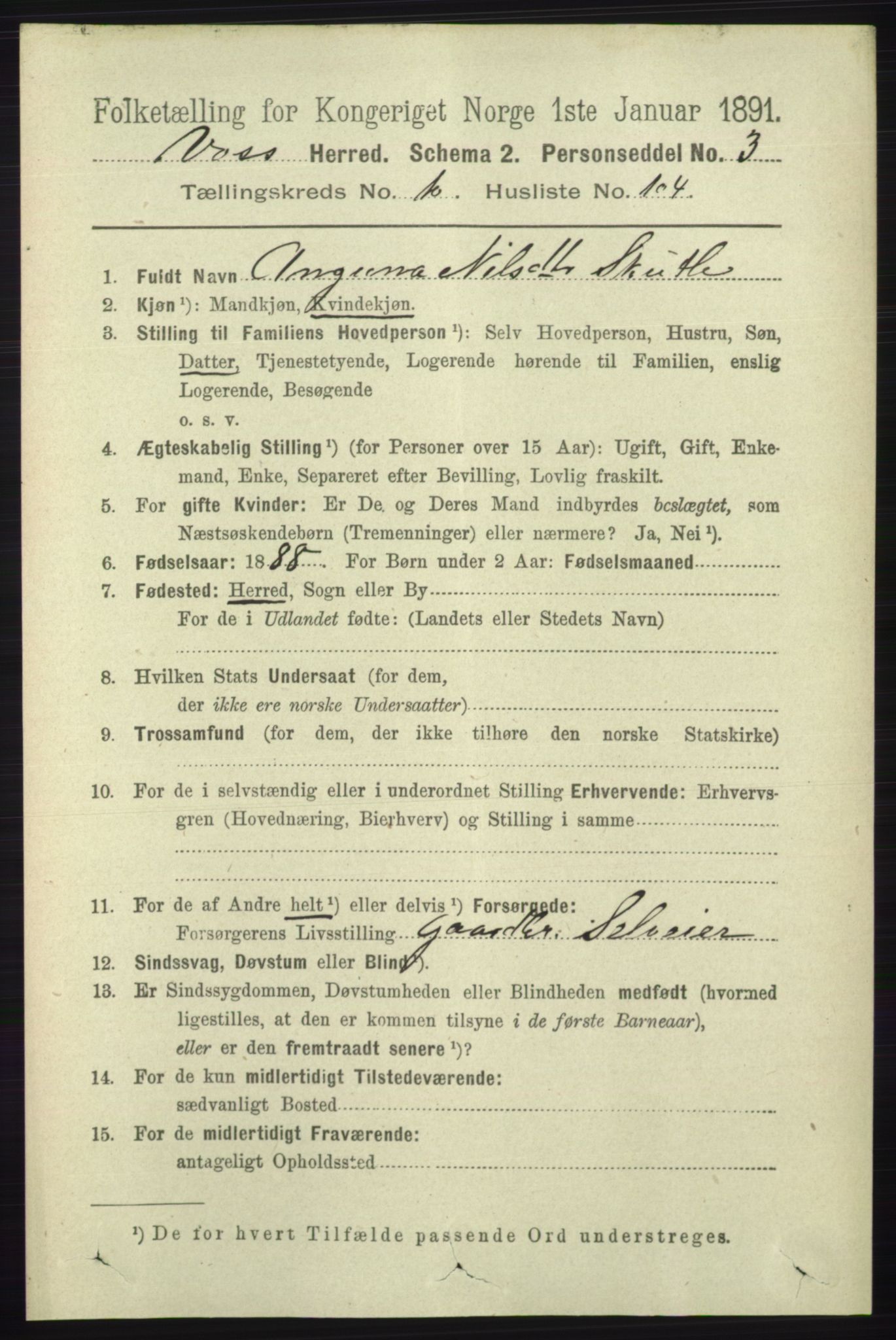 RA, 1891 census for 1235 Voss, 1891, p. 5719