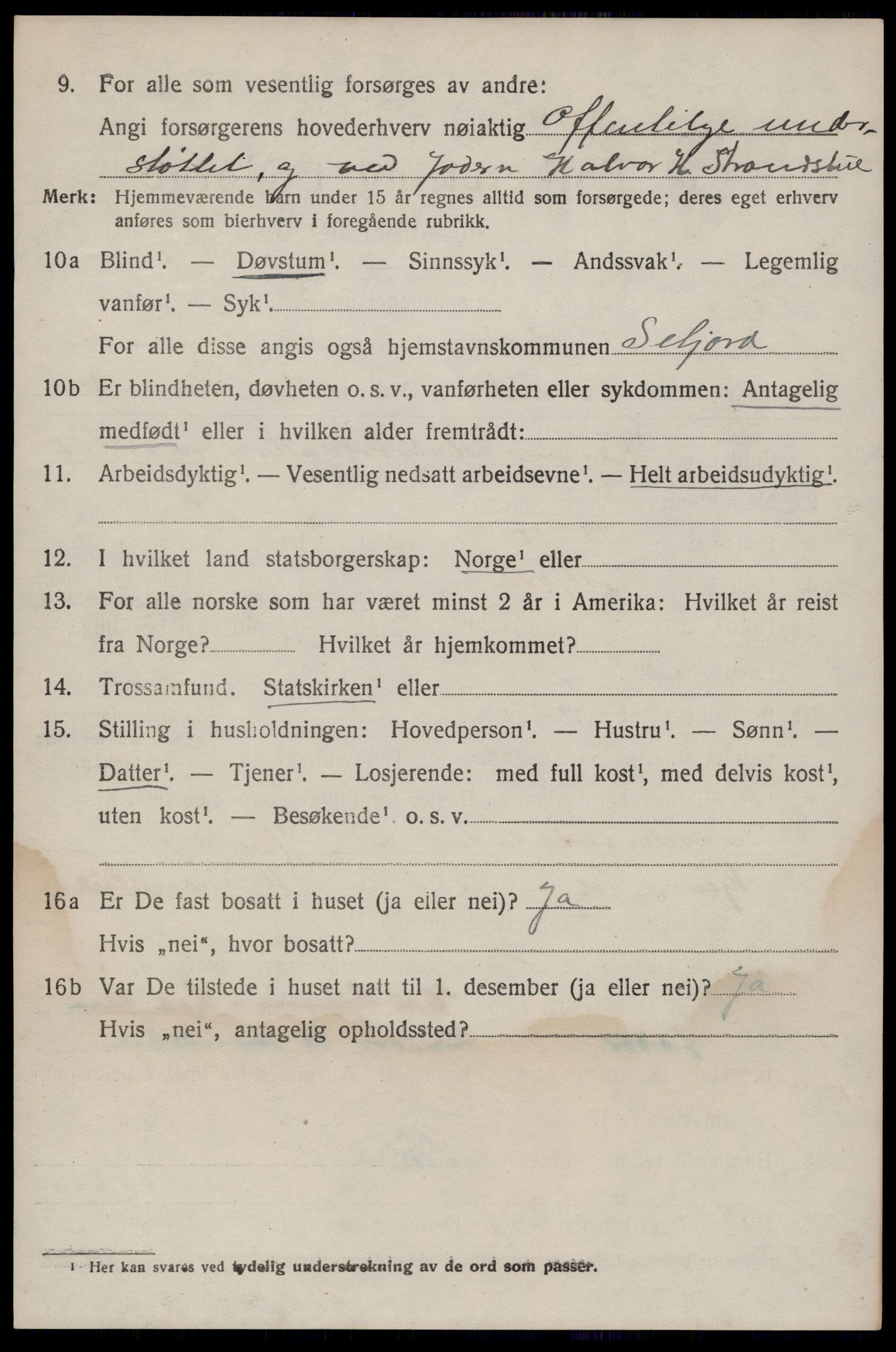 SAKO, 1920 census for Seljord, 1920, p. 2095