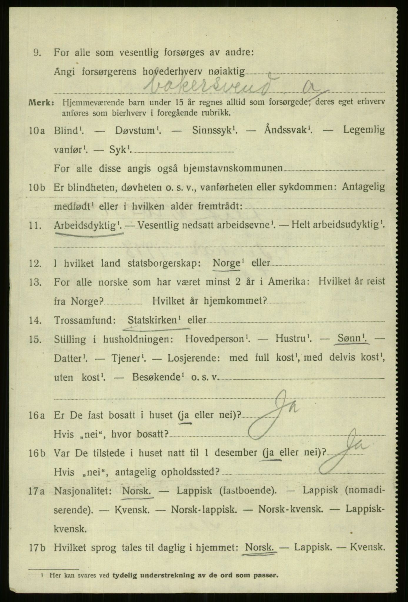 SATØ, 1920 census for Hammerfest, 1920, p. 8739