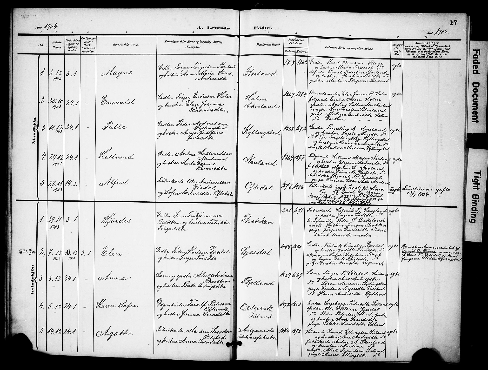 Lye sokneprestkontor, SAST/A-101794/001/30BB/L0009: Parish register (copy) no. B 9, 1902-1923, p. 17