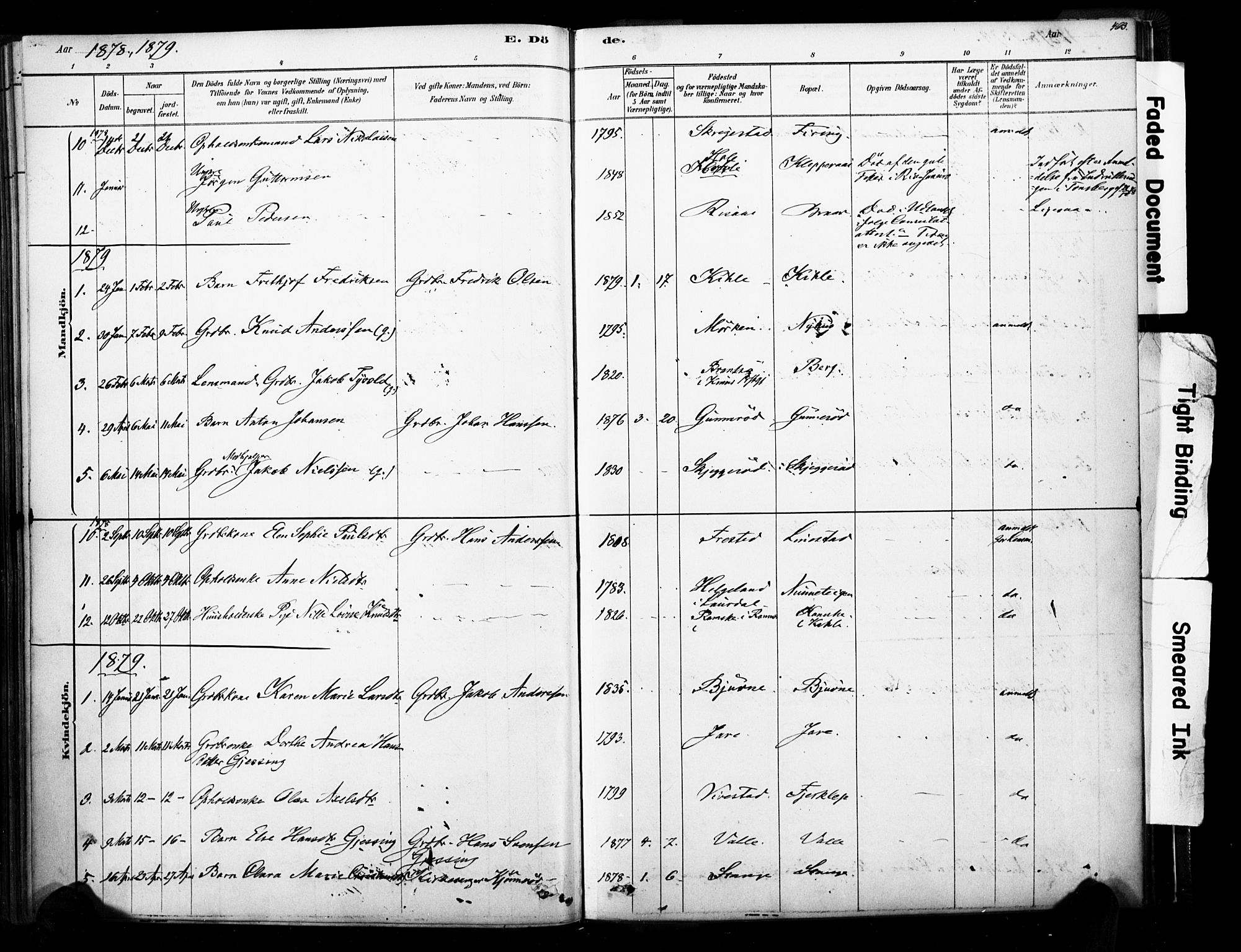 Ramnes kirkebøker, SAKO/A-314/F/Fa/L0007: Parish register (official) no. I 7, 1878-1895, p. 462-463