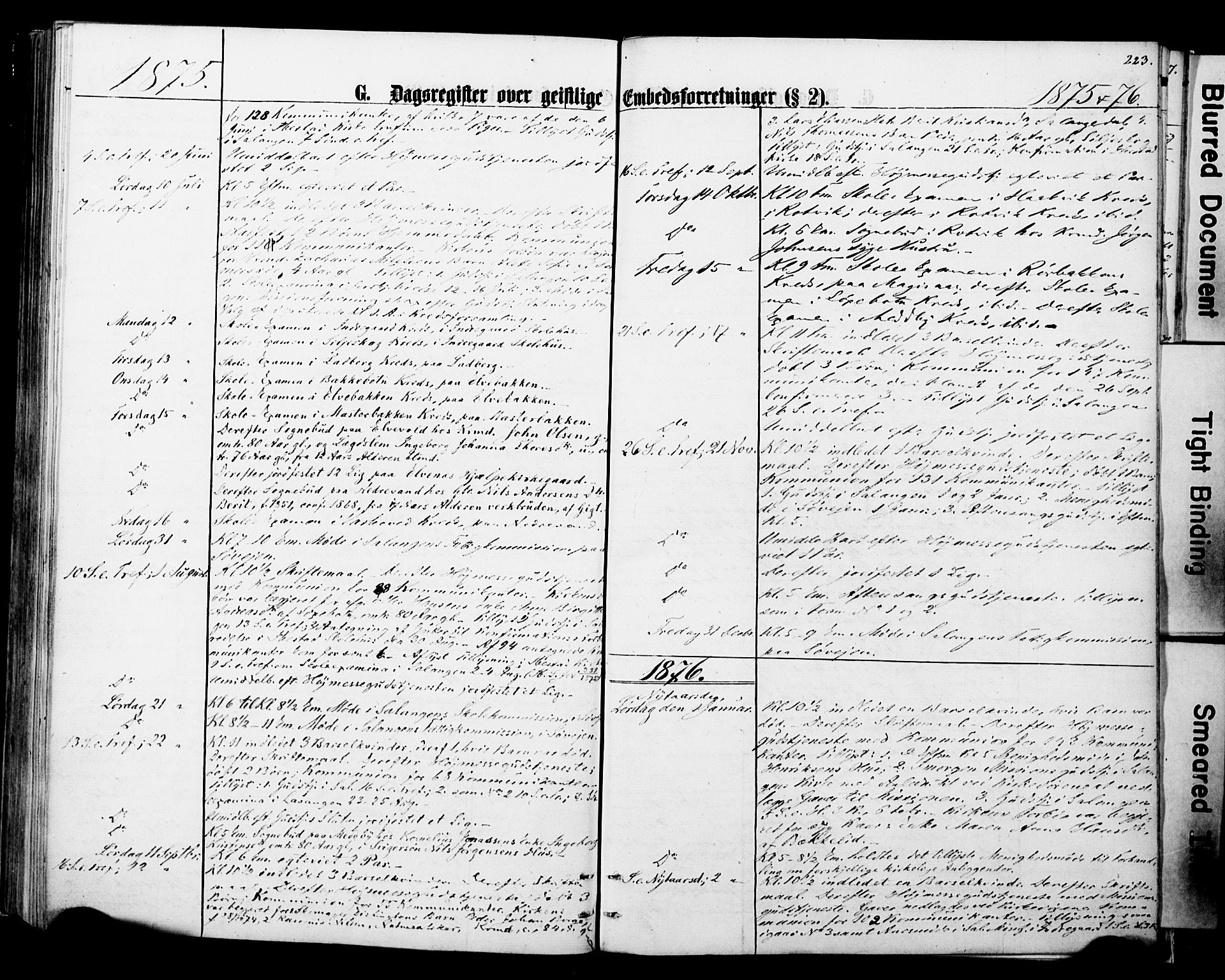 Ibestad sokneprestembete, SATØ/S-0077/H/Ha/Haa/L0013kirke: Parish register (official) no. 13, 1865-1879, p. 223