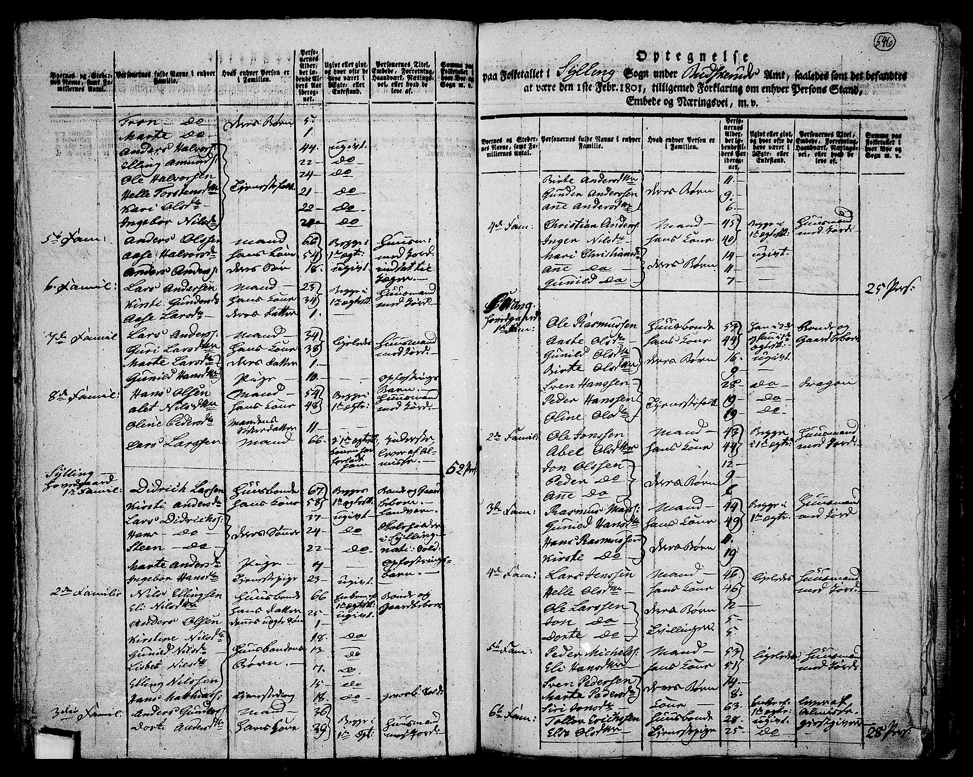 RA, 1801 census for 0626P Lier, 1801, p. 545b-546a