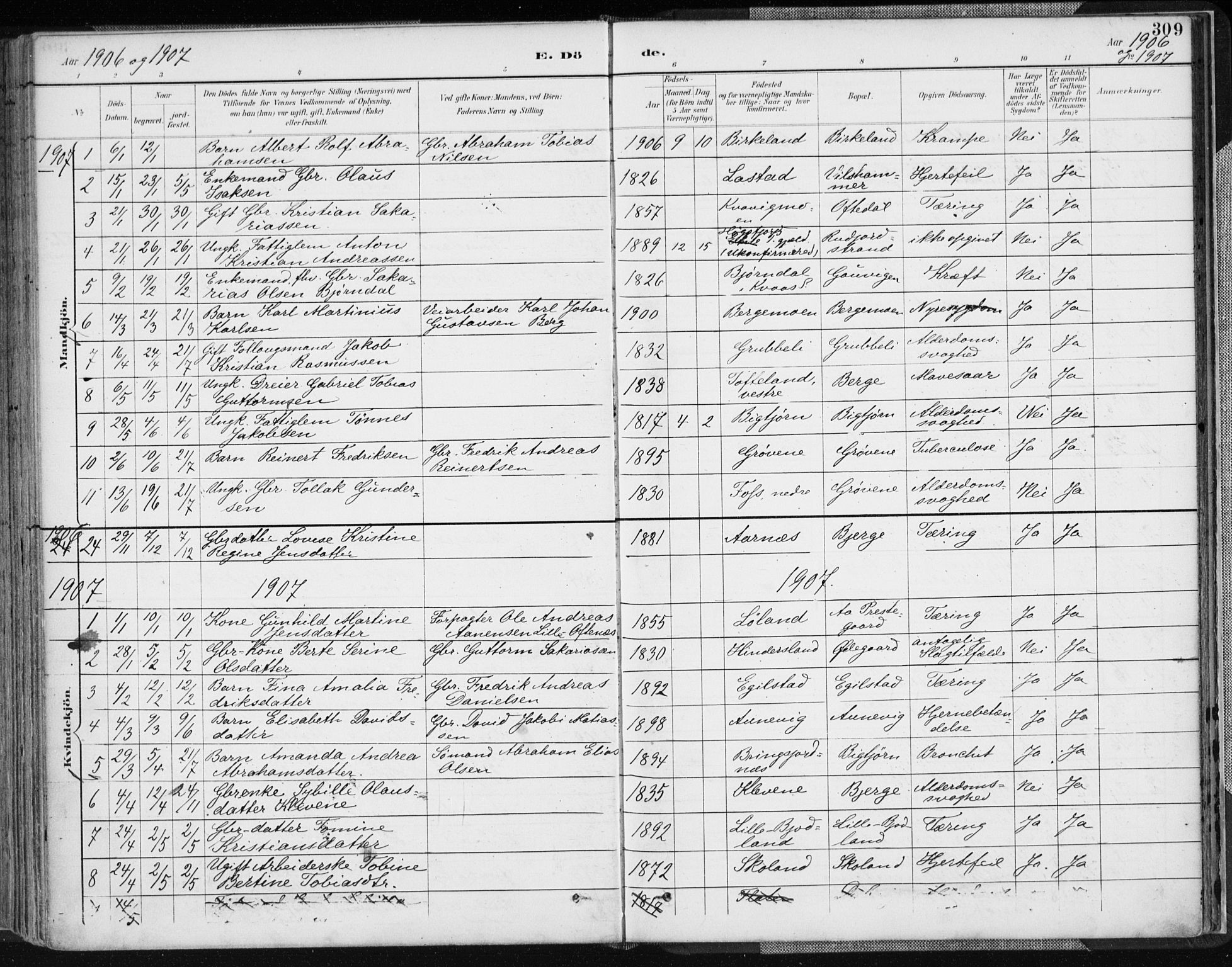 Lyngdal sokneprestkontor, AV/SAK-1111-0029/F/Fa/Fac/L0012: Parish register (official) no. A 12, 1894-1918, p. 309